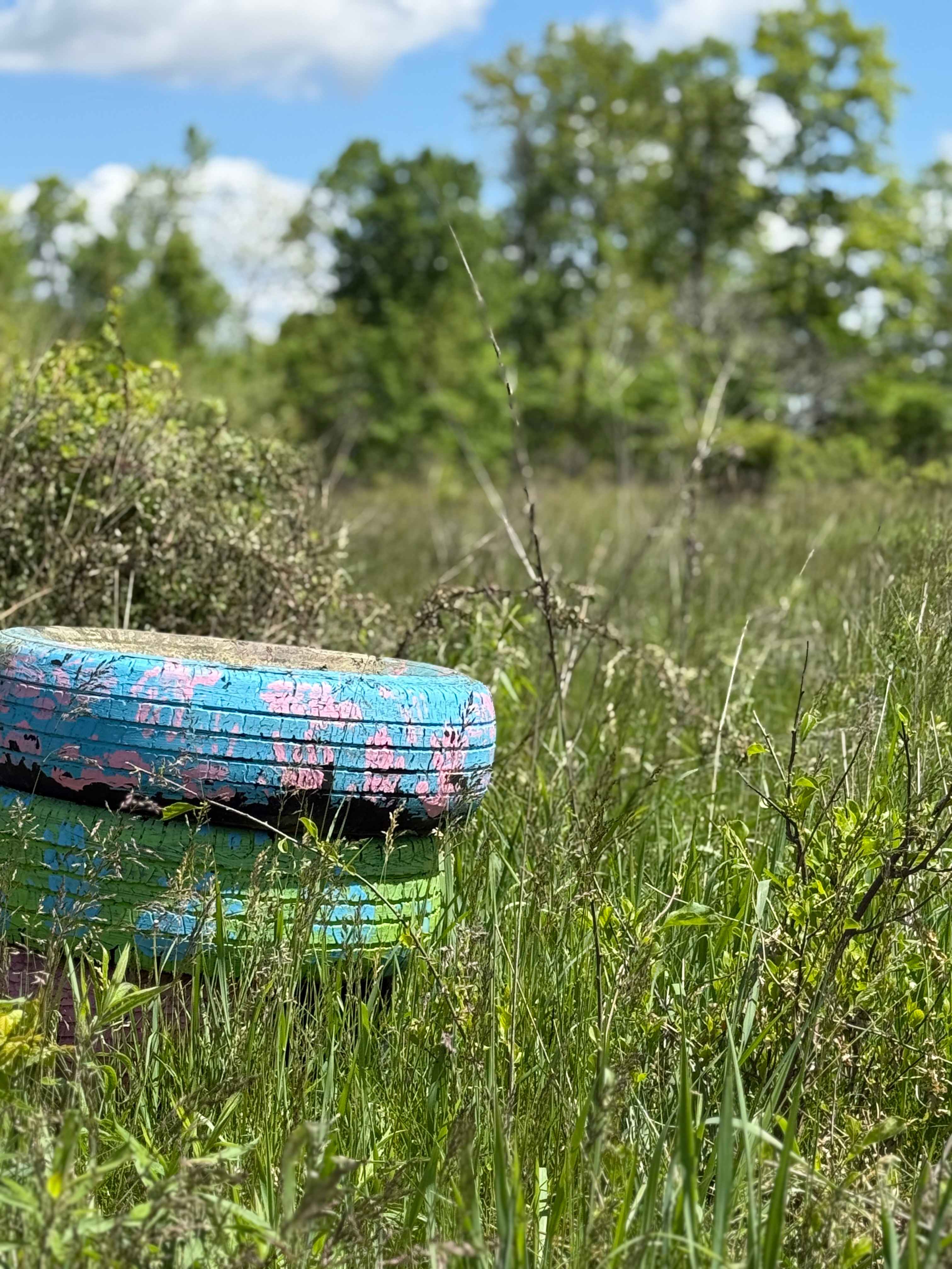 Life Adventures