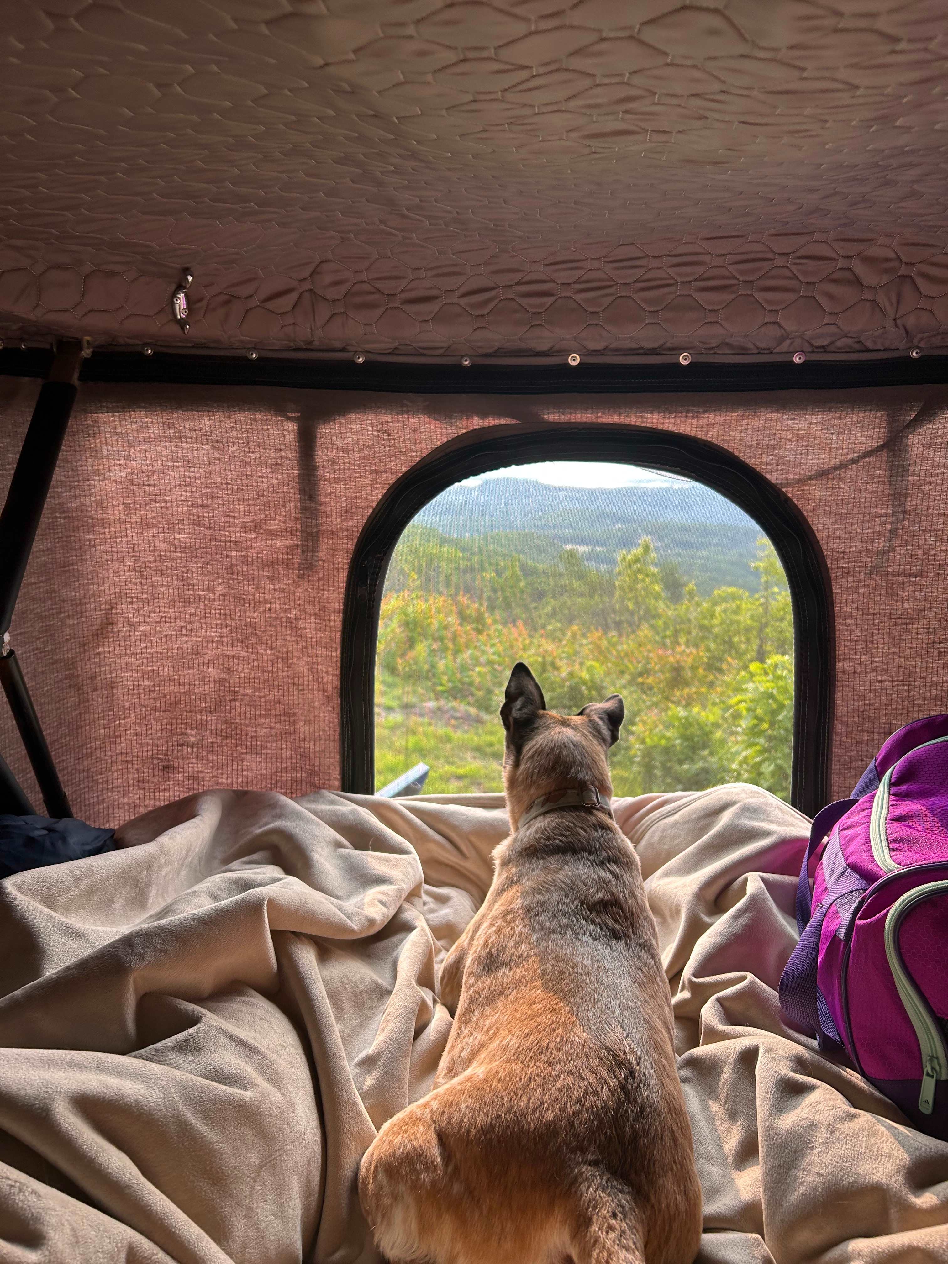 Taking in the sights and smells