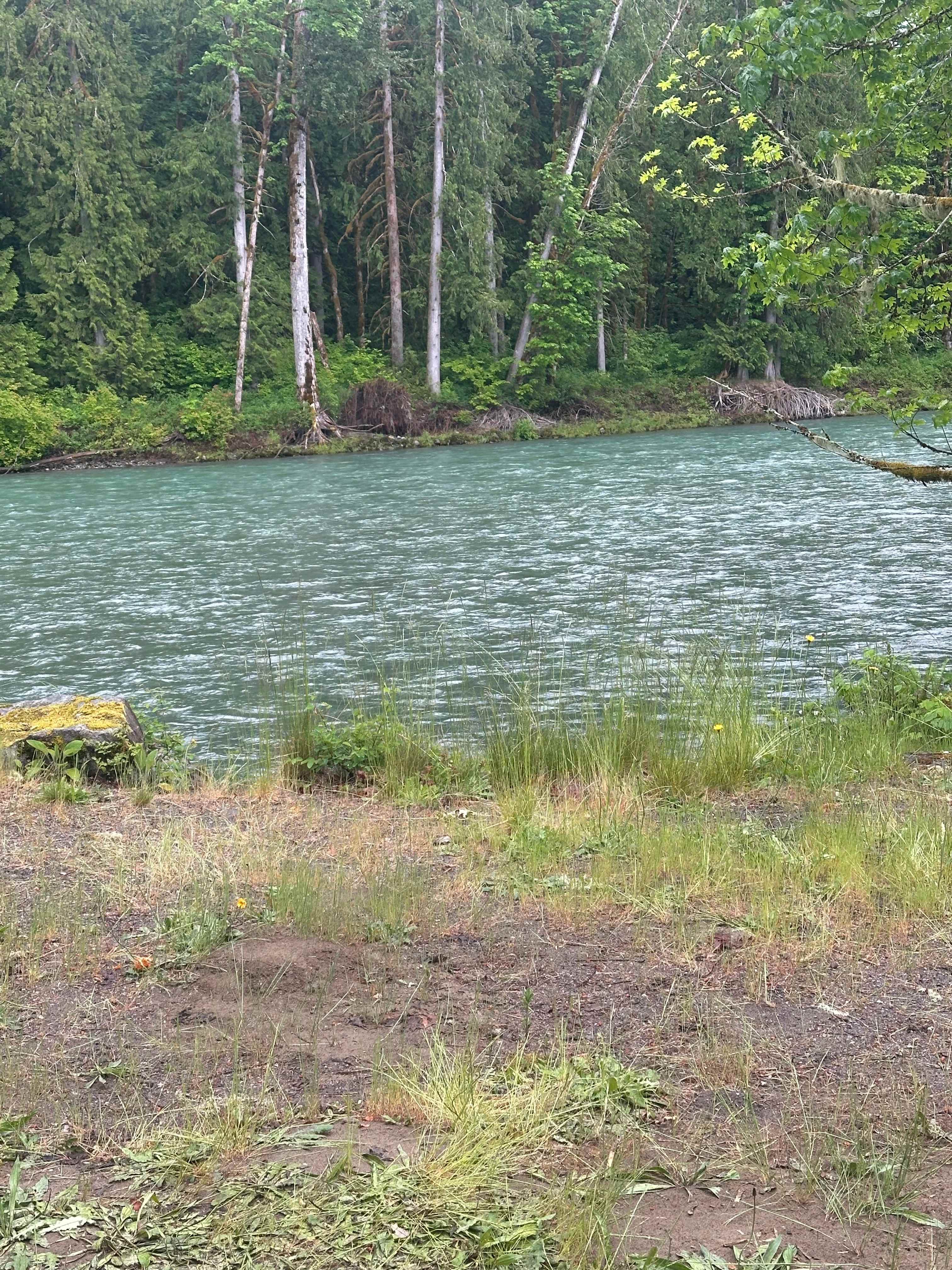 Buster's on the Sauk River