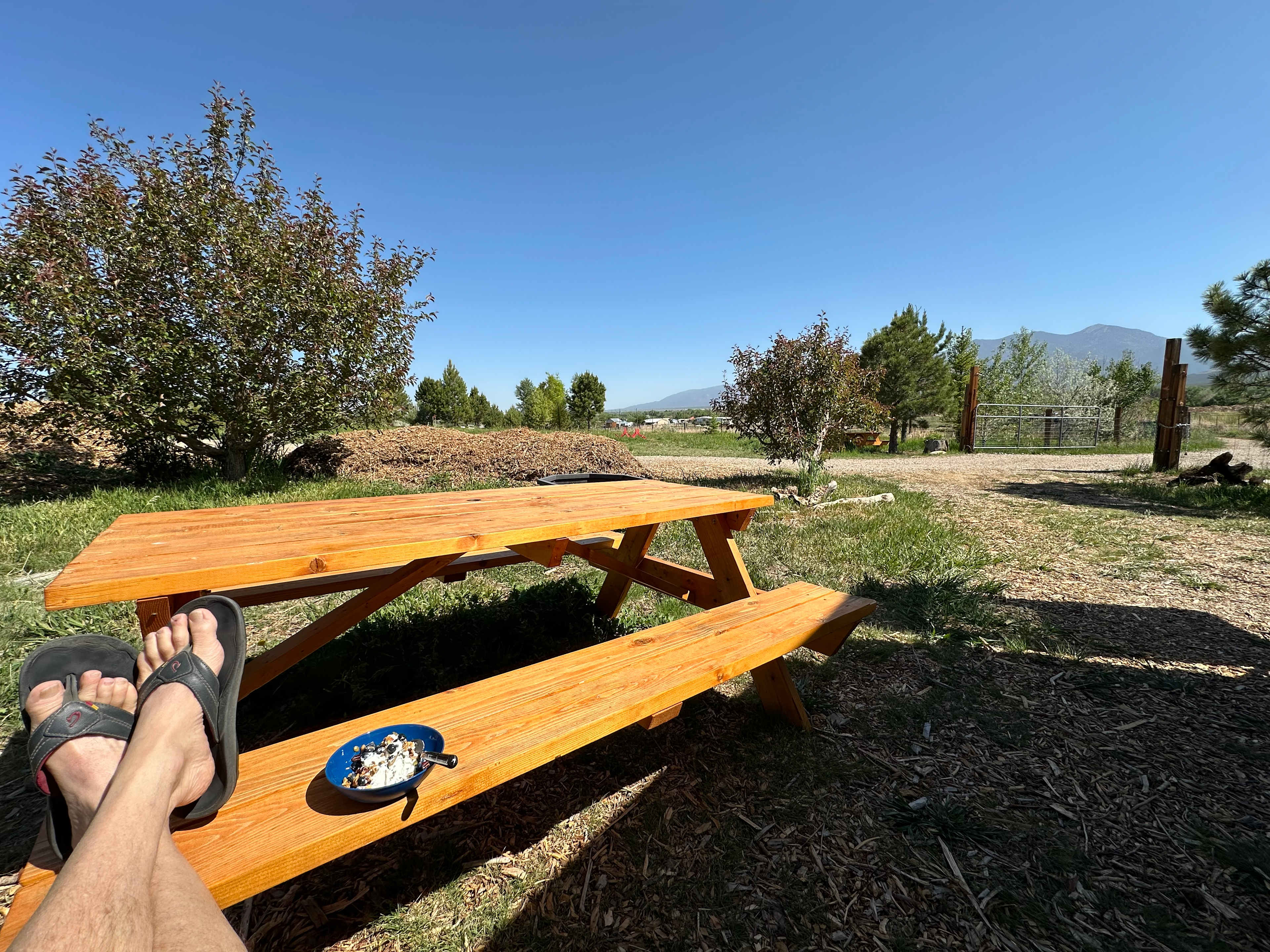 Breakfast solitude