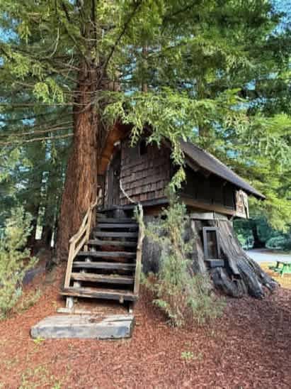 Redwood Family Camp