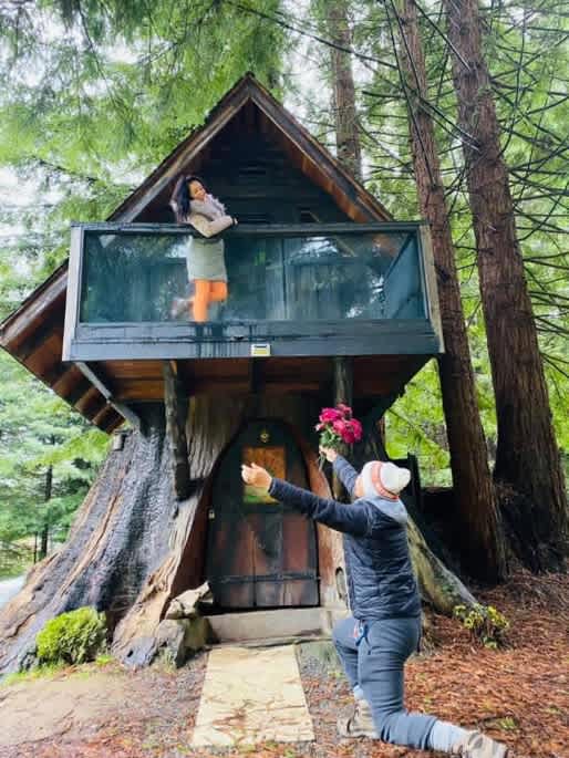 Redwood Family Camp