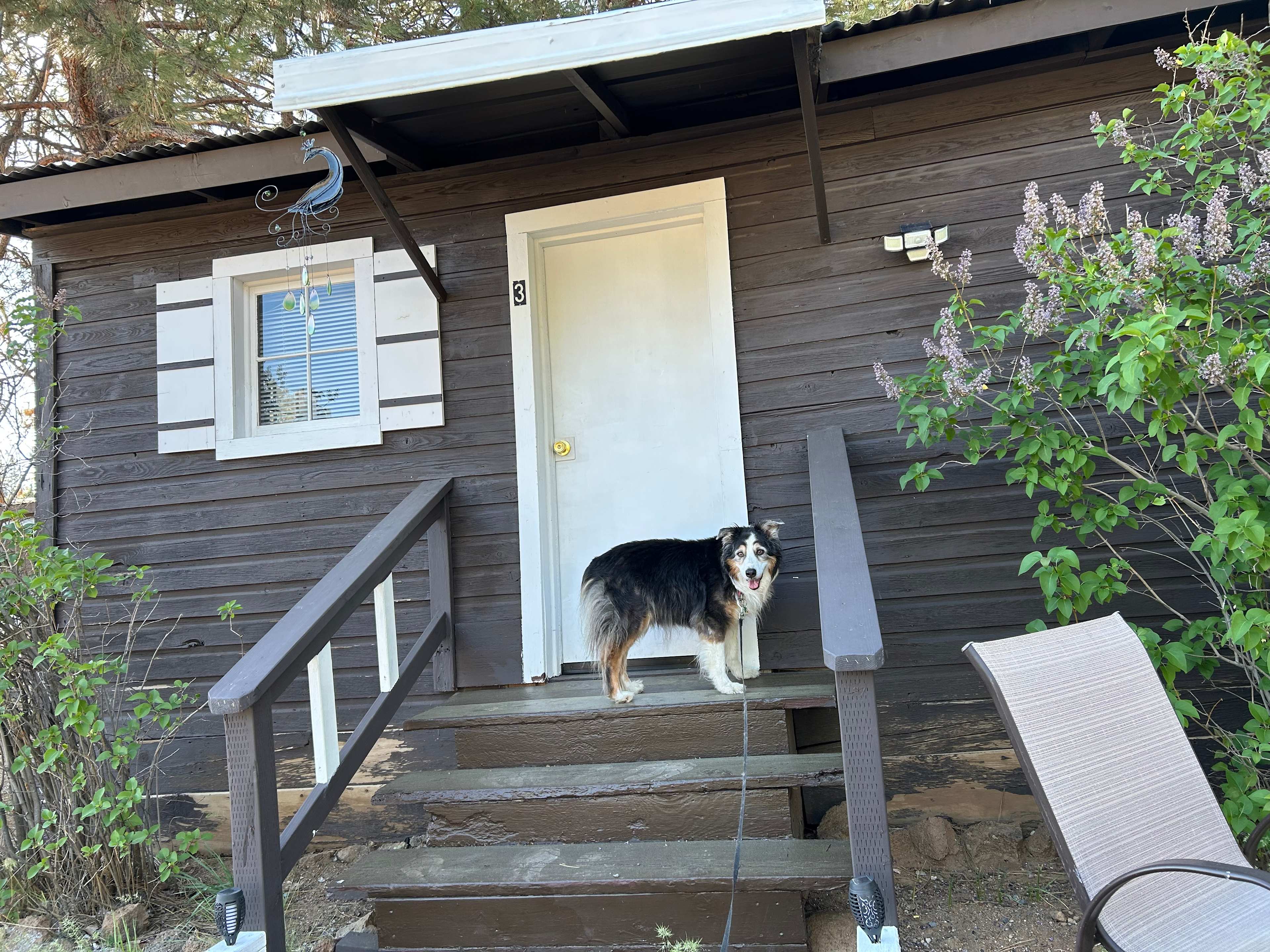 Hawk's Nest Tionesta RV & Cabin