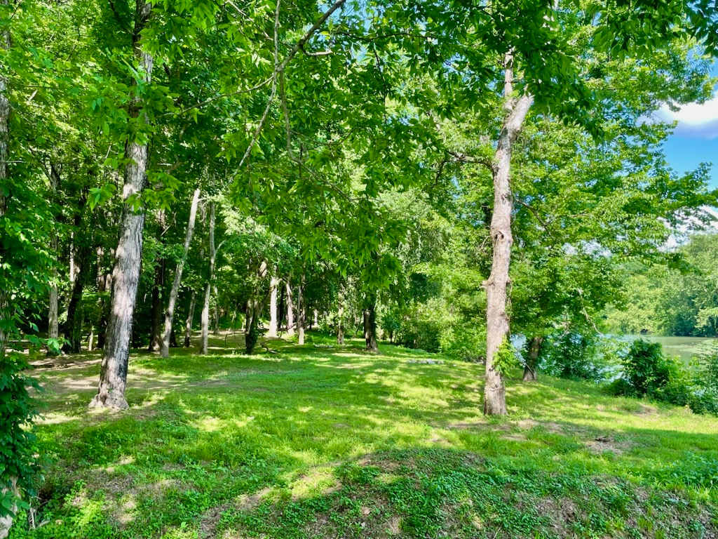 Buffalo River Resort