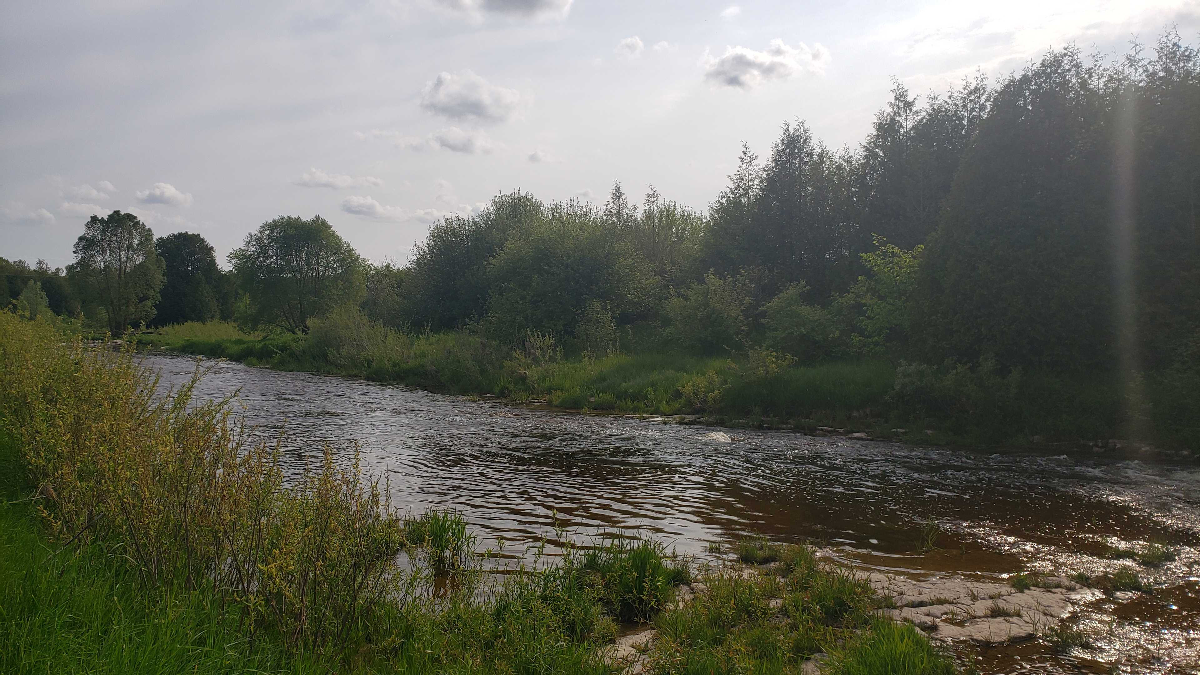 Spring river level is high during our May 30 visit.