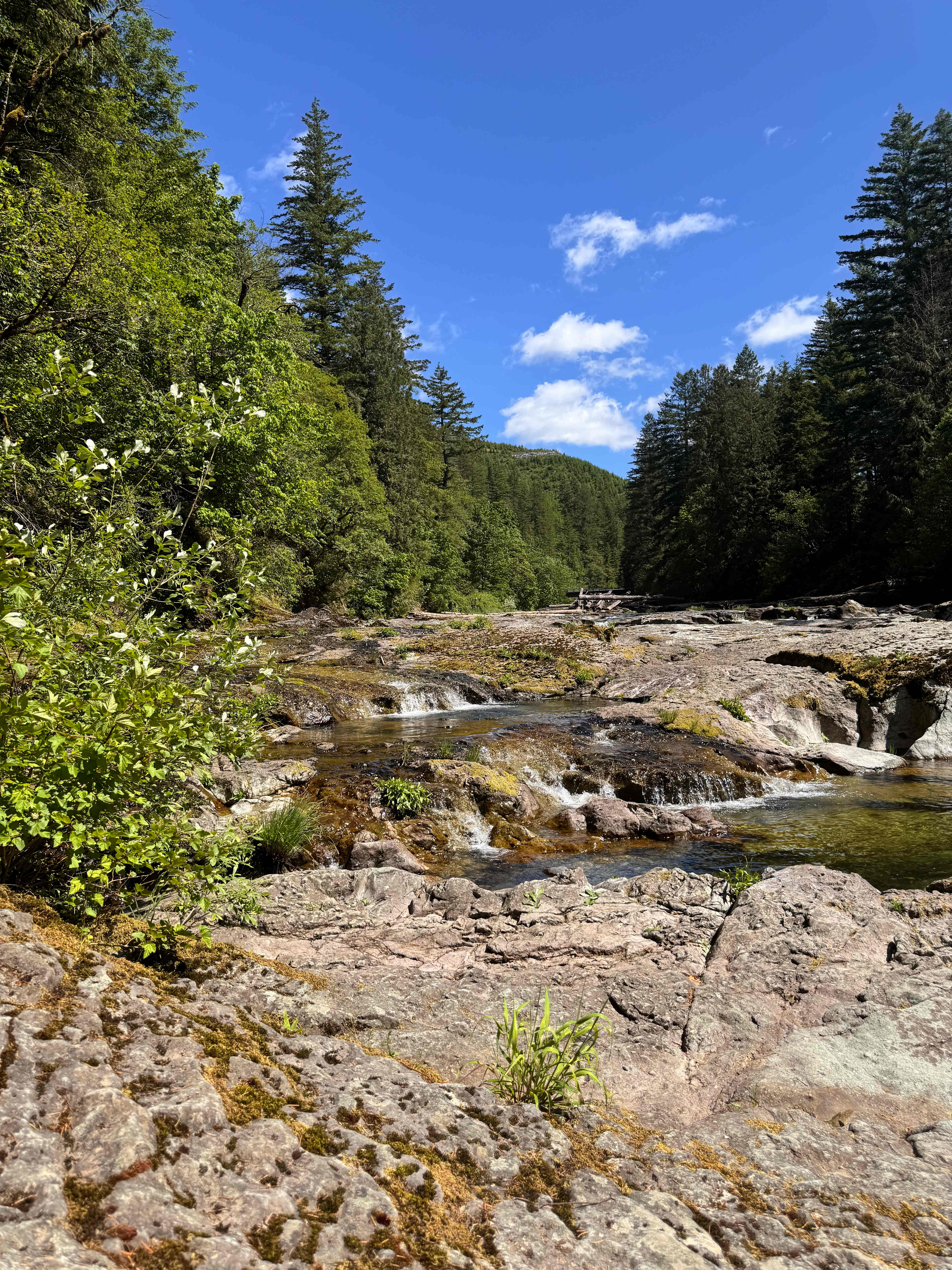 Naked Falls