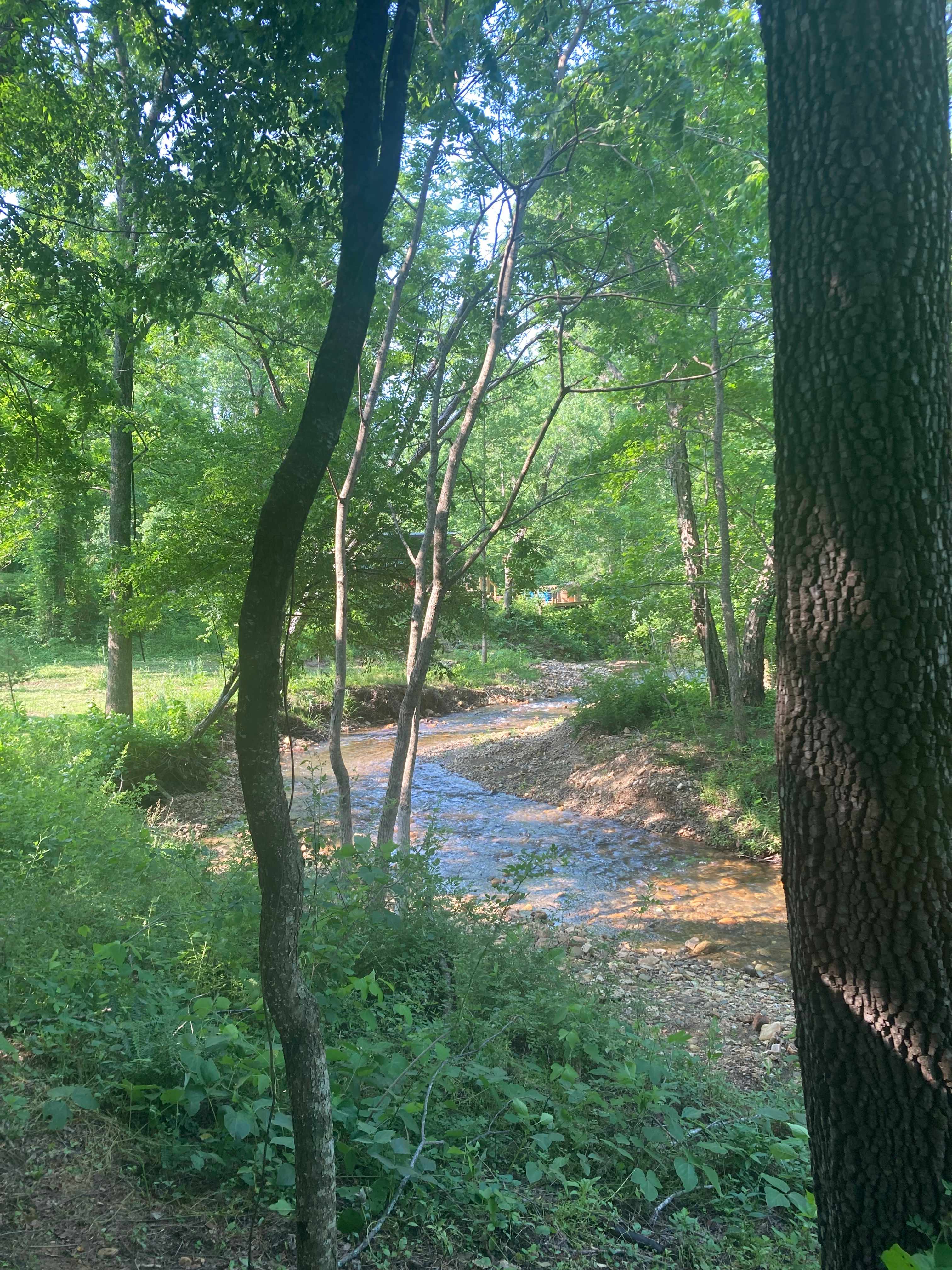 TangleWood Creekside Campsites