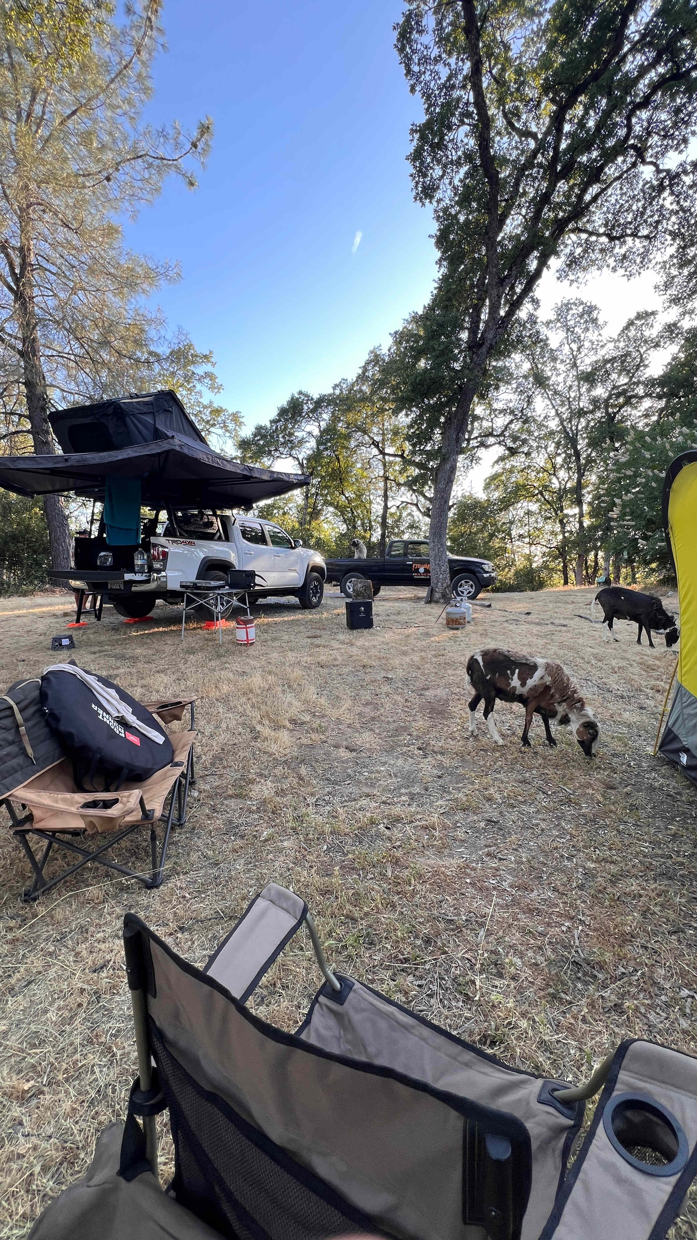 Sierra Mountain Tranquility