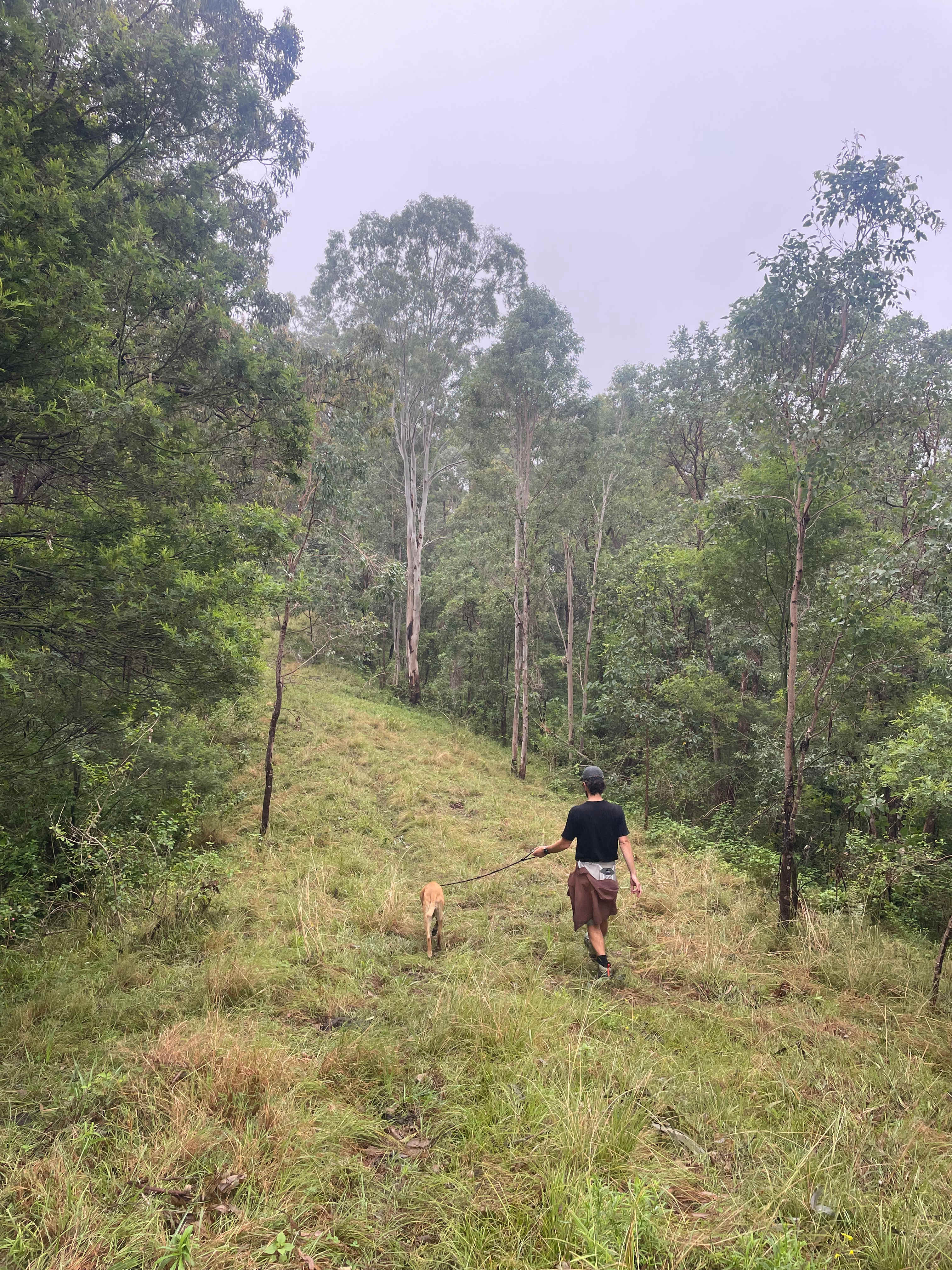 Hike into the forest at the top of the ridgeline