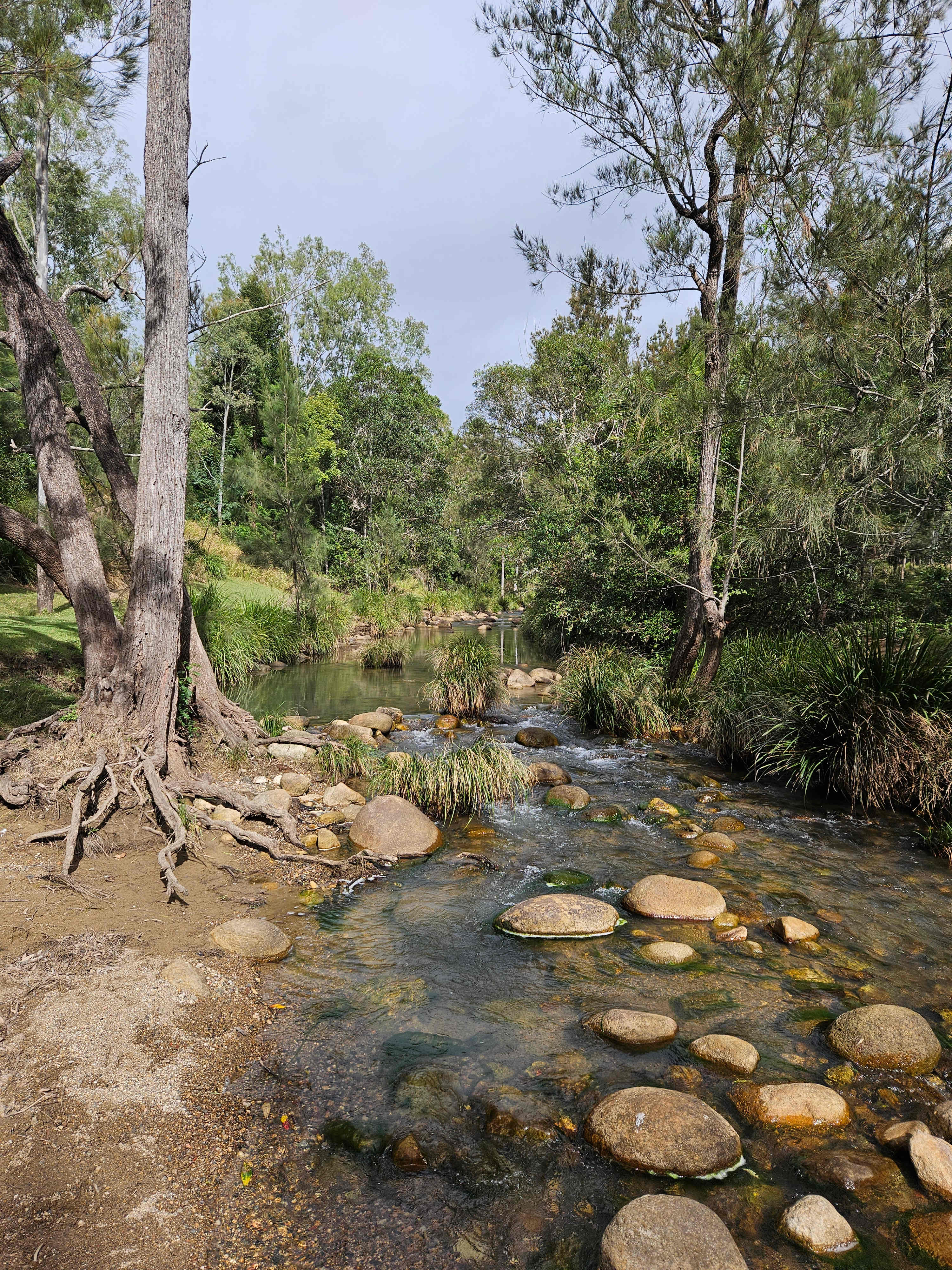 Mt Barney Lodge Eco Retreat