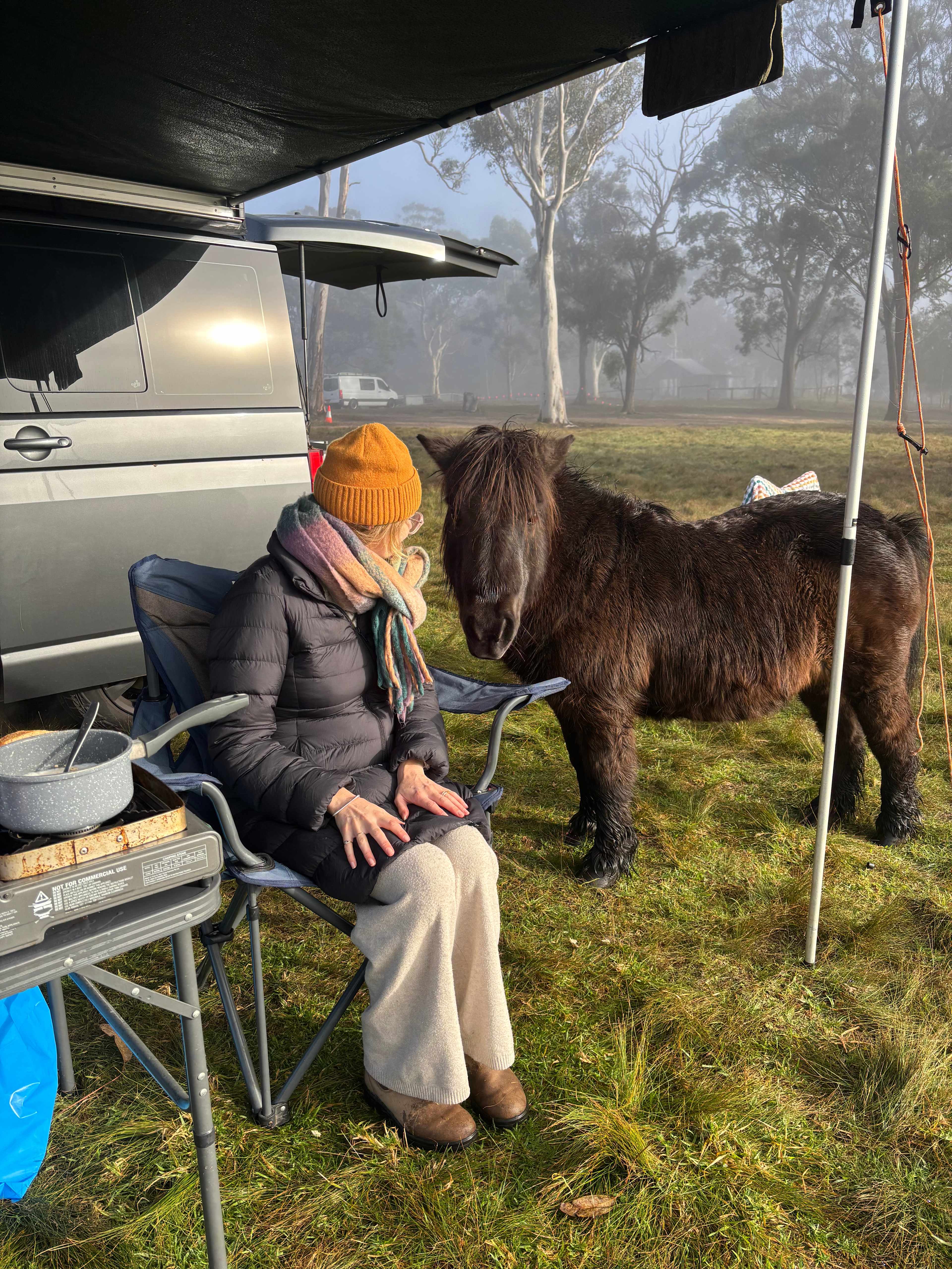 Megalong Valley Farm