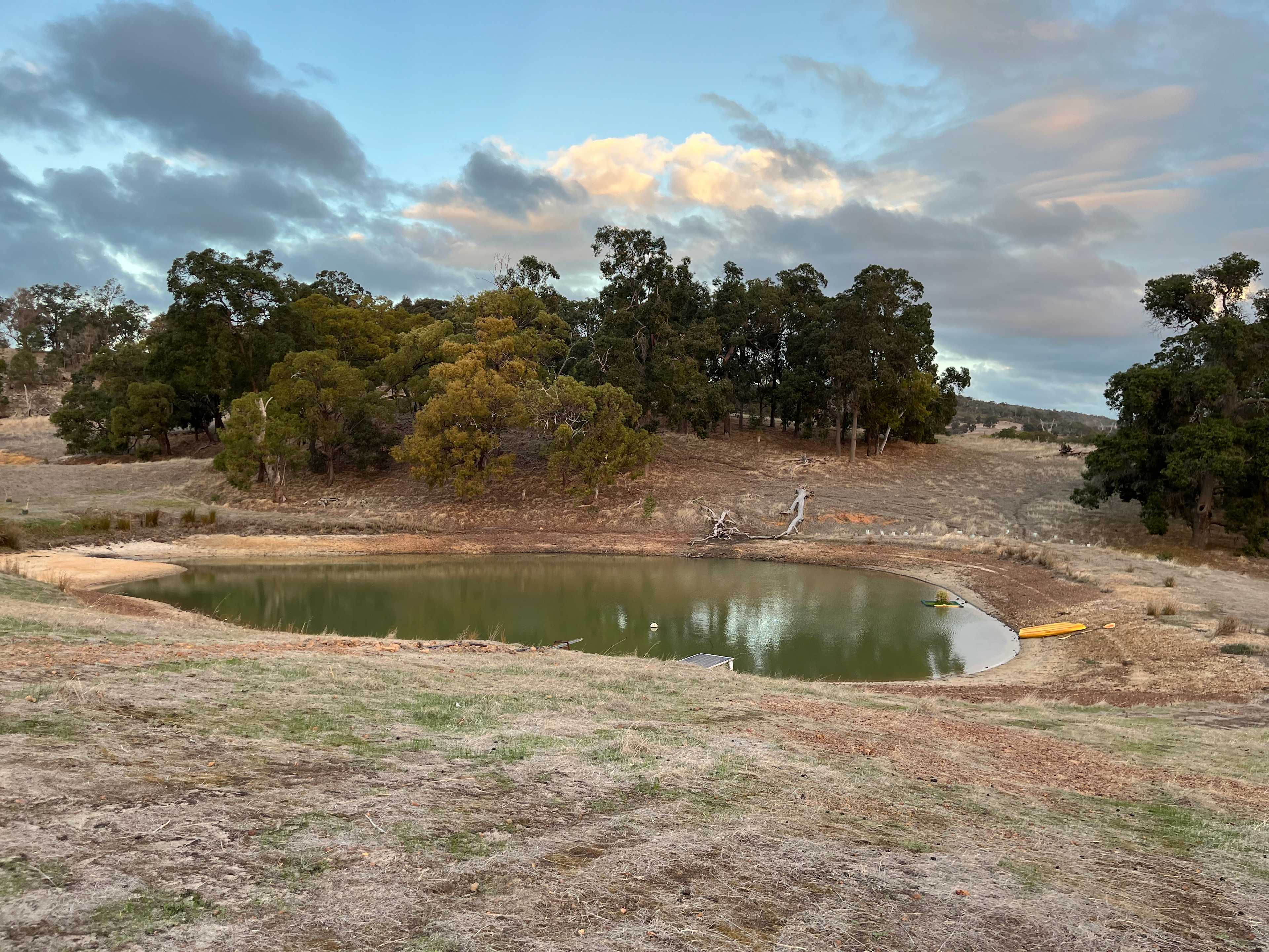 Jacaranda Hill Farm