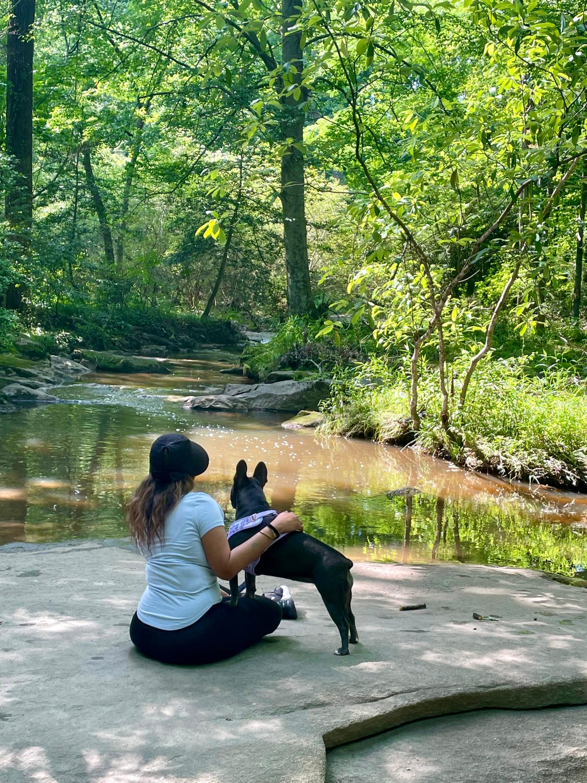 City Camp on Reedy Creek