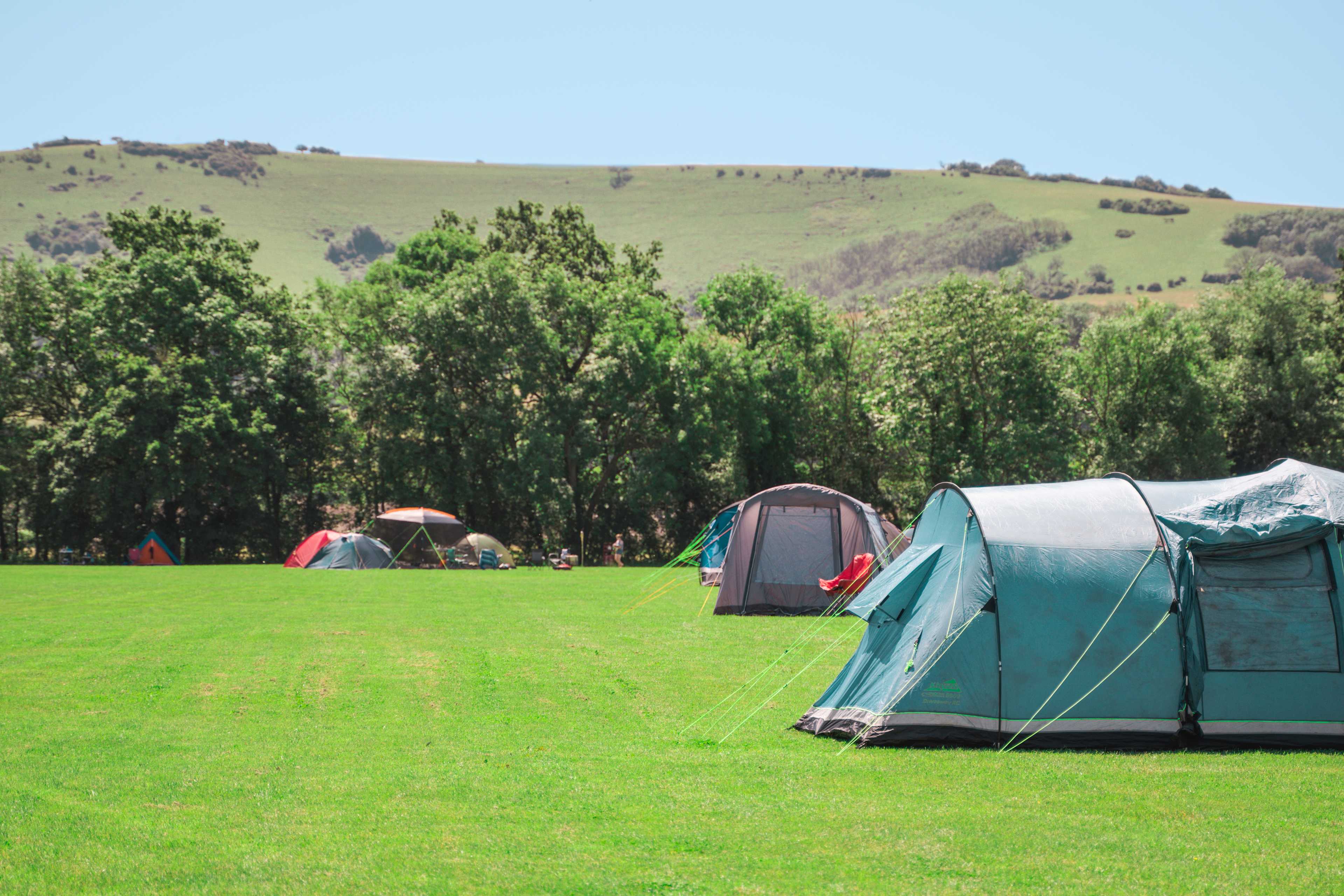 Bramley Park Camping