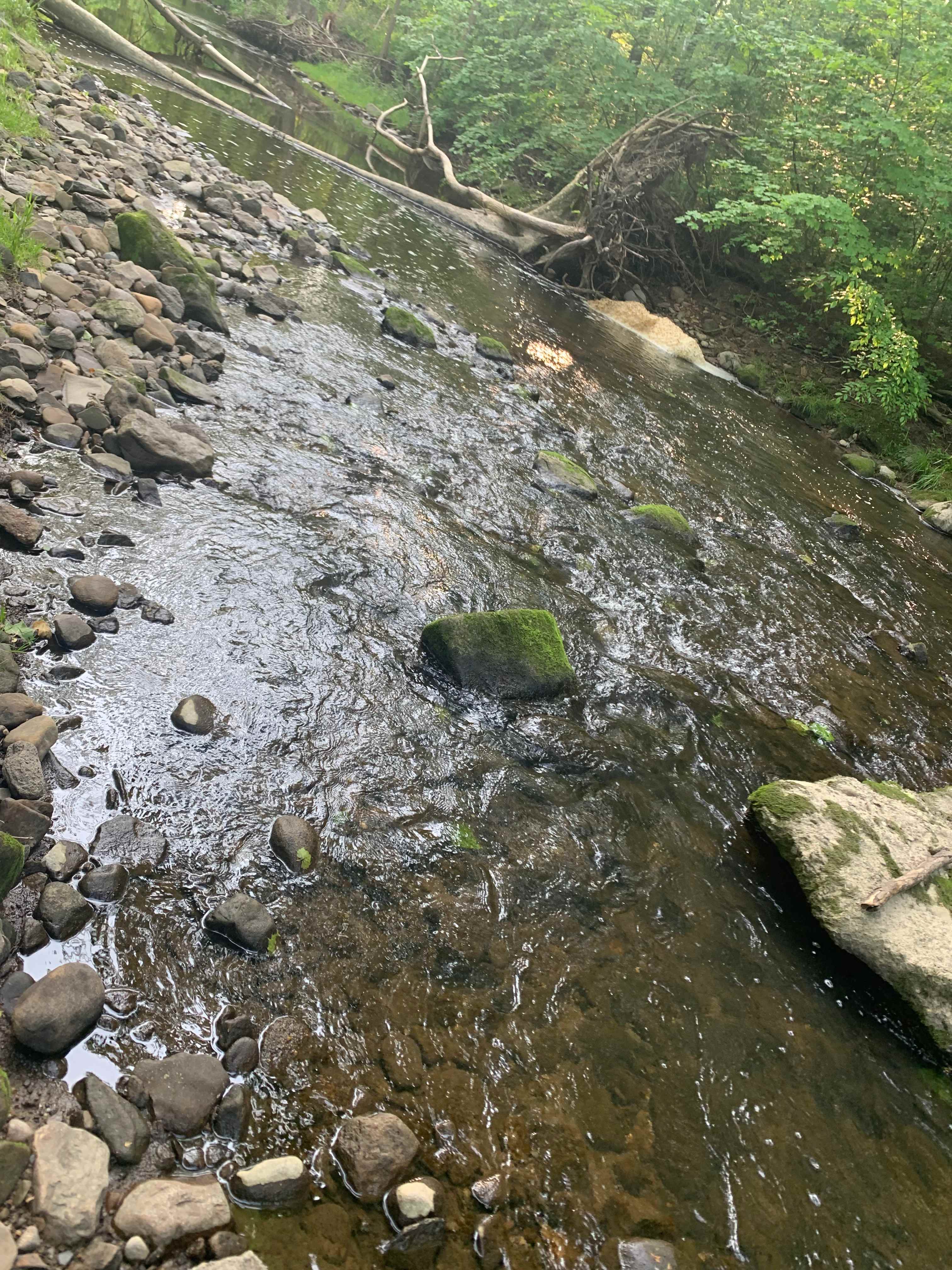 Bass and Buck Tent Adventures