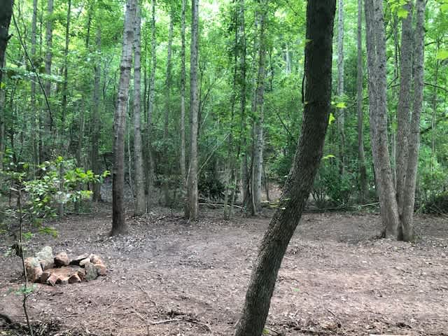 Serenity on the Saluda