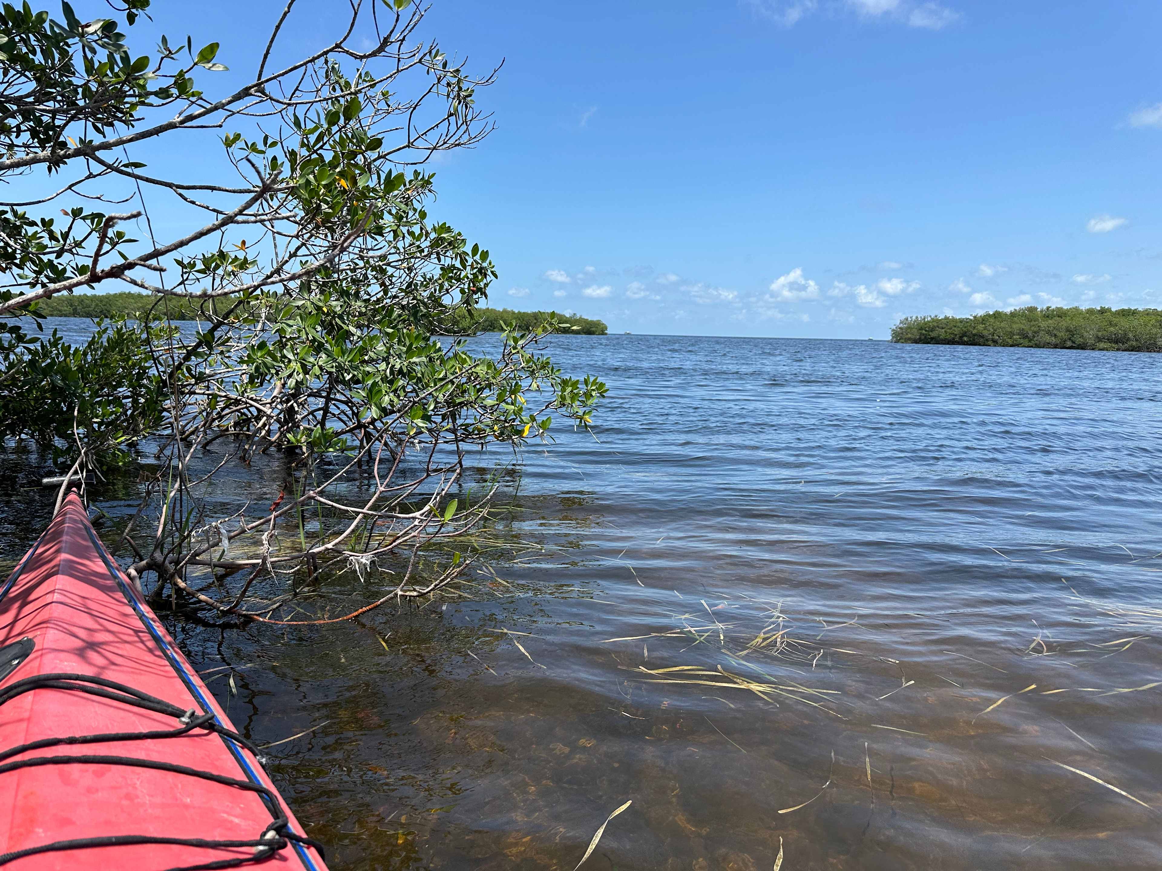 Kayaking around the property 