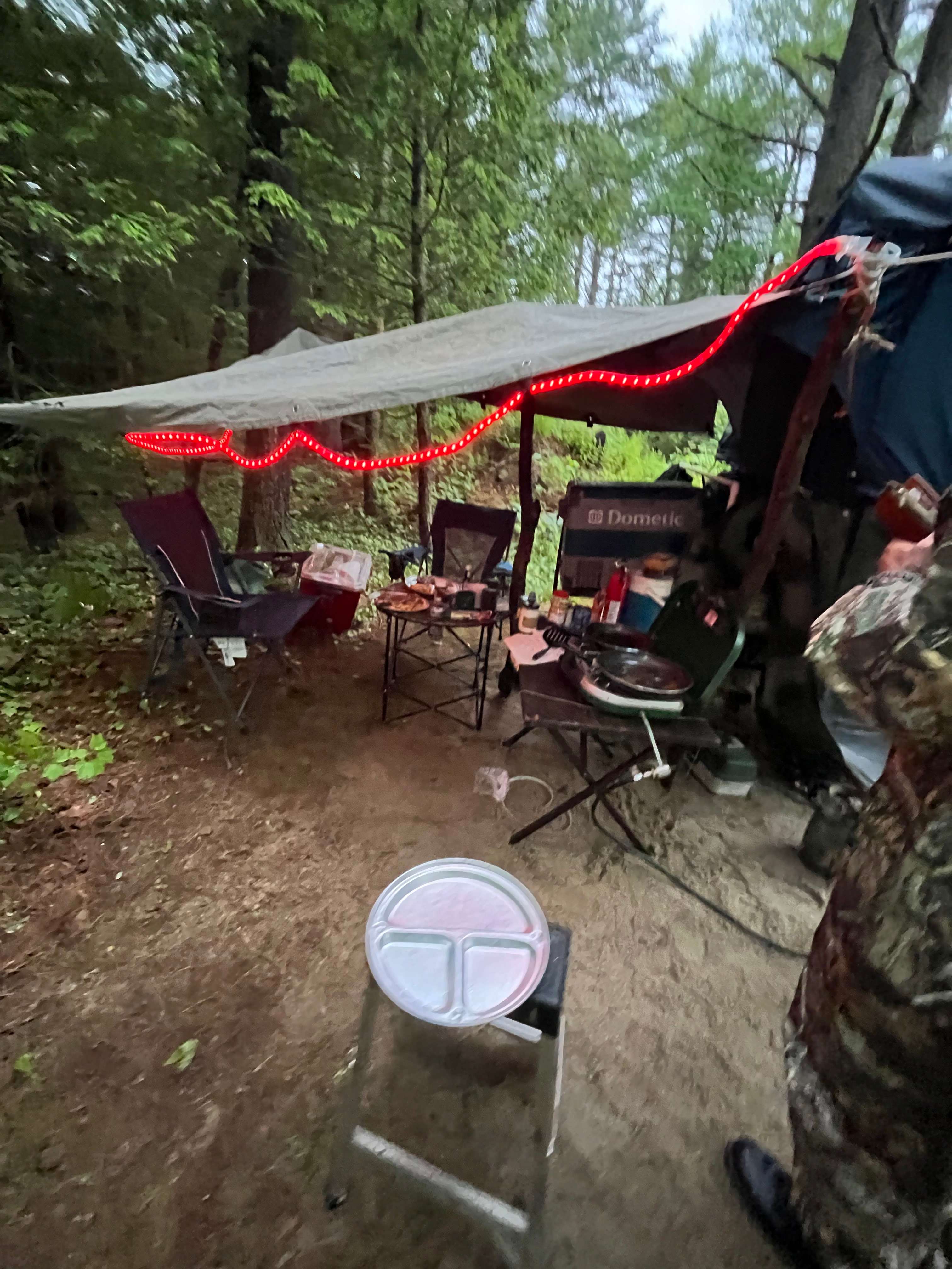 Camp in the woods