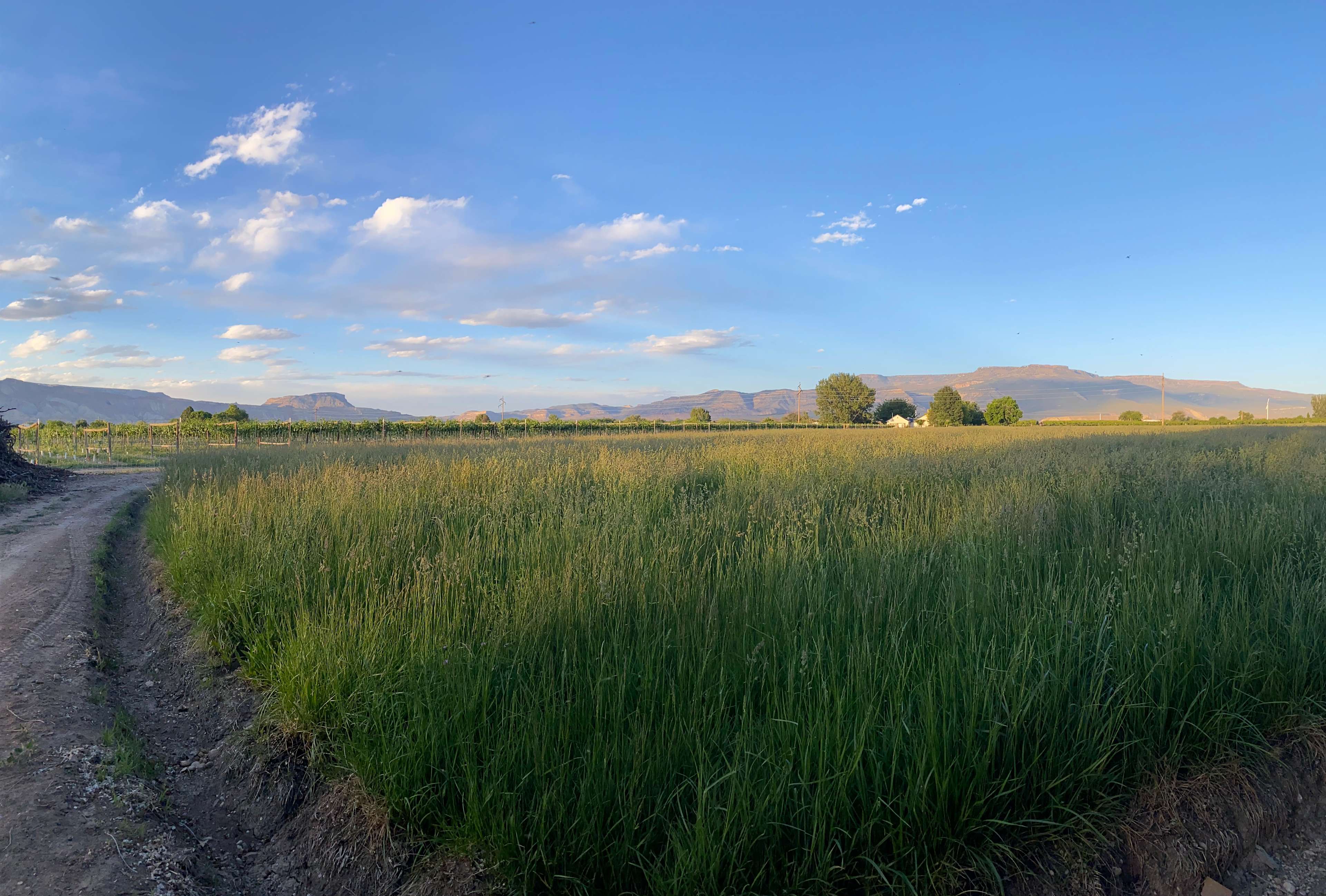 Reverie Retreat at MTO