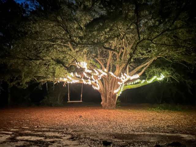 Too Many Oaks Plantation