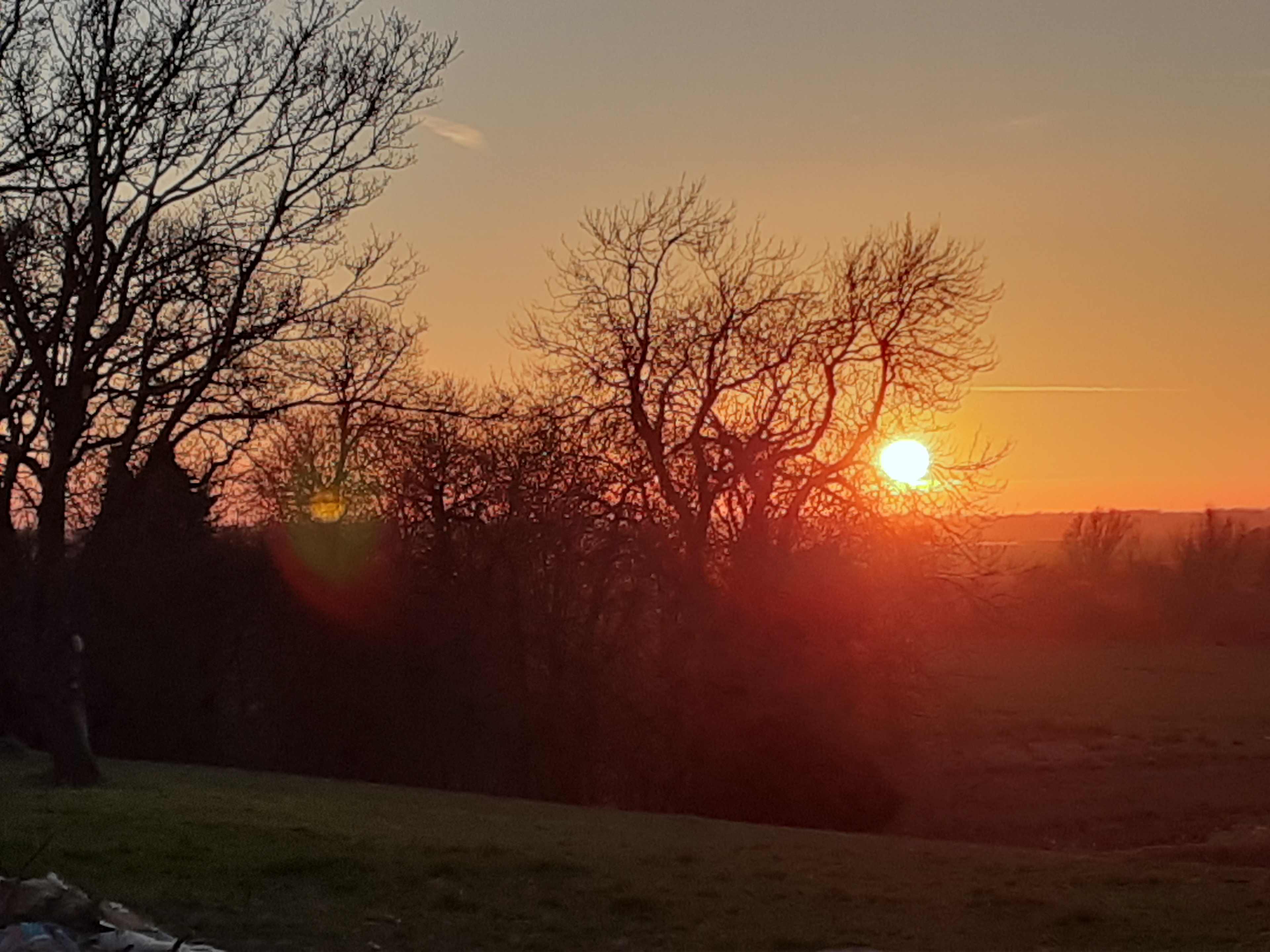 Waveney Wild Woods Camp