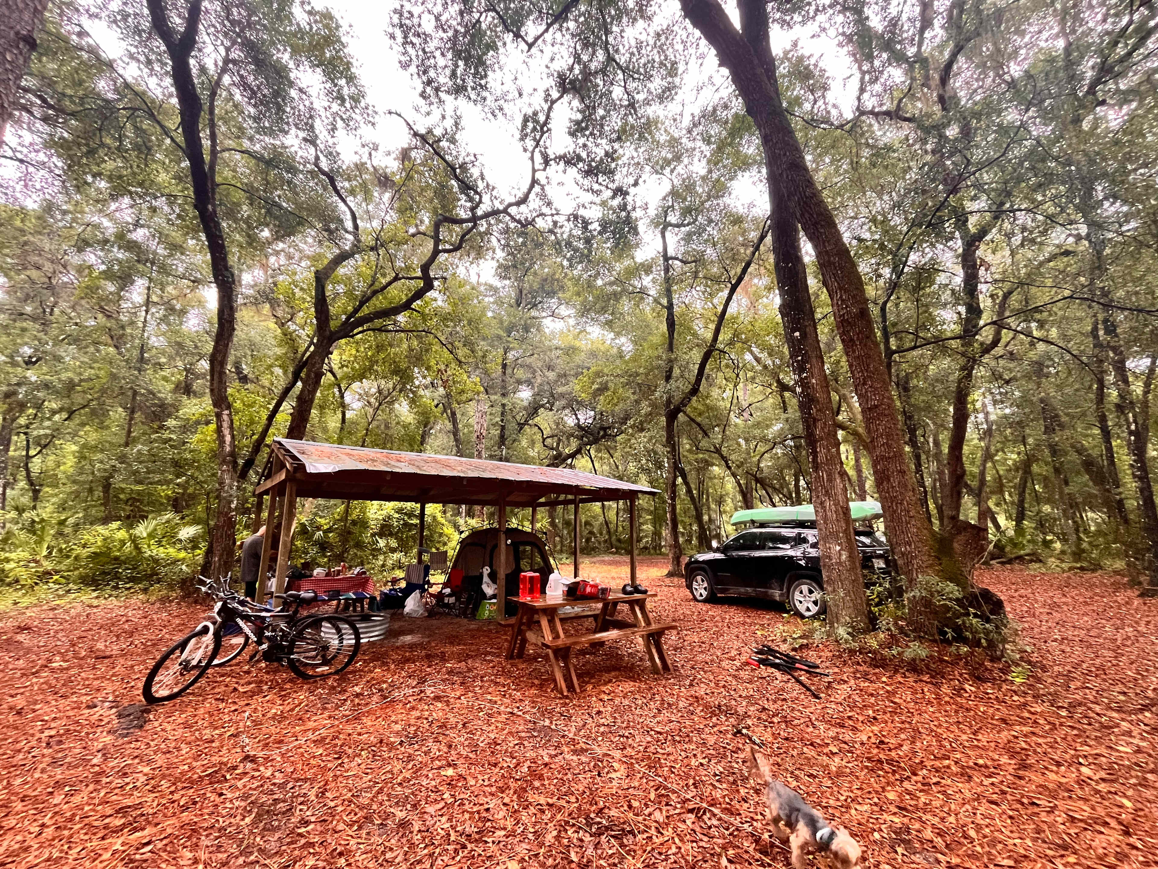 Camp Seminole Springs