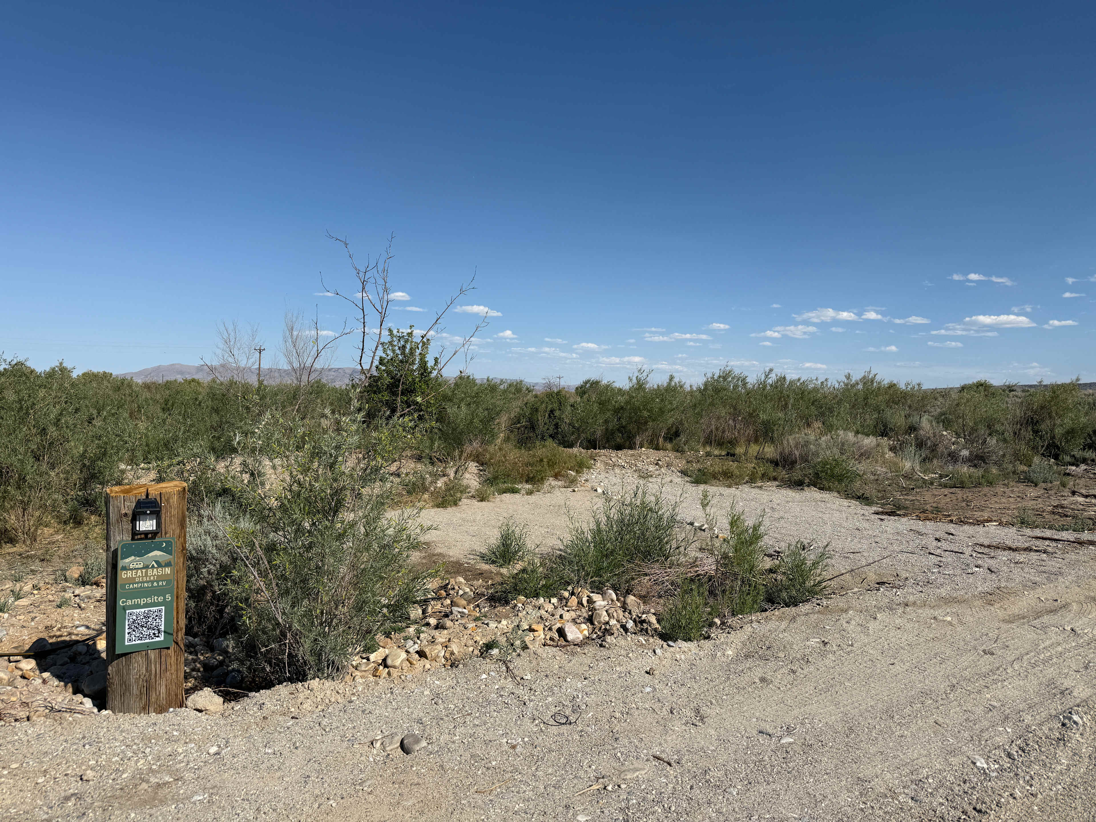 Picture of the site