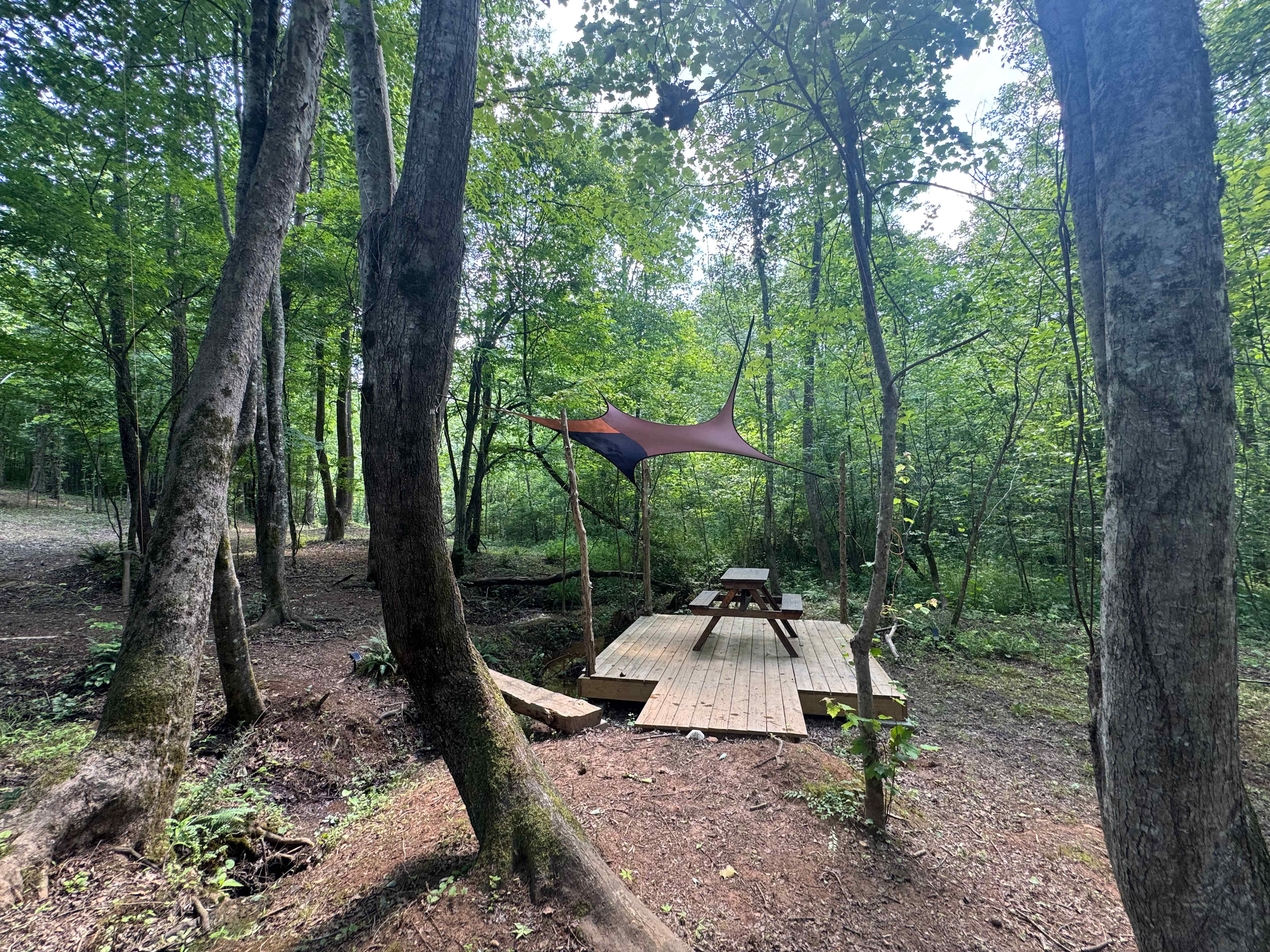 Living Woods on Ridgecreek