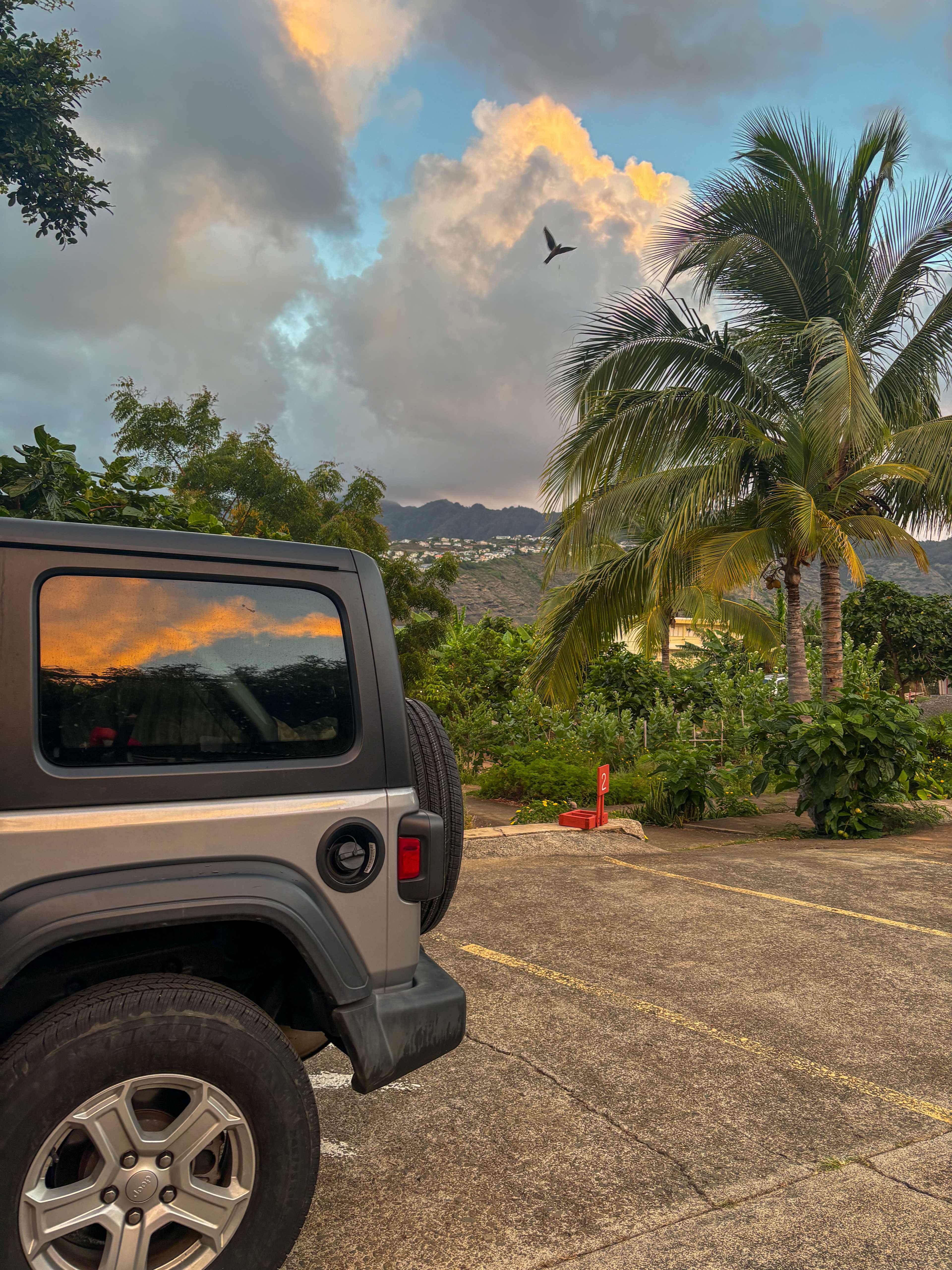 Sun Farm Hawaii @ Koko Head