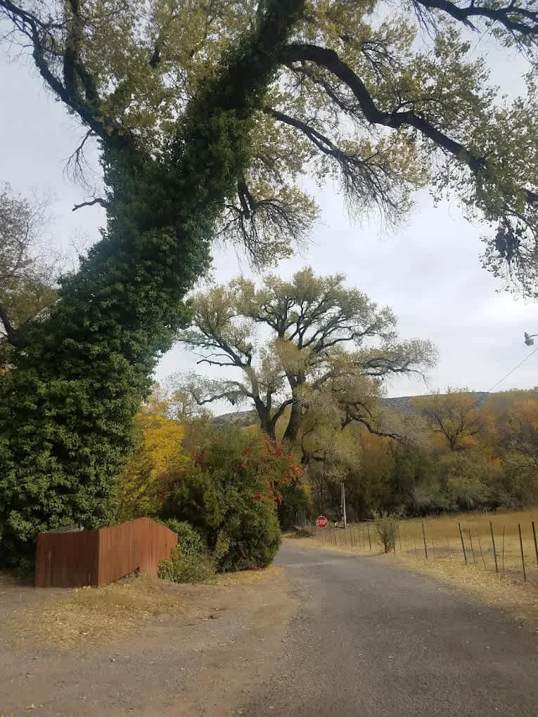 Lo-Lo-Mai Springs RV & Tent Resort