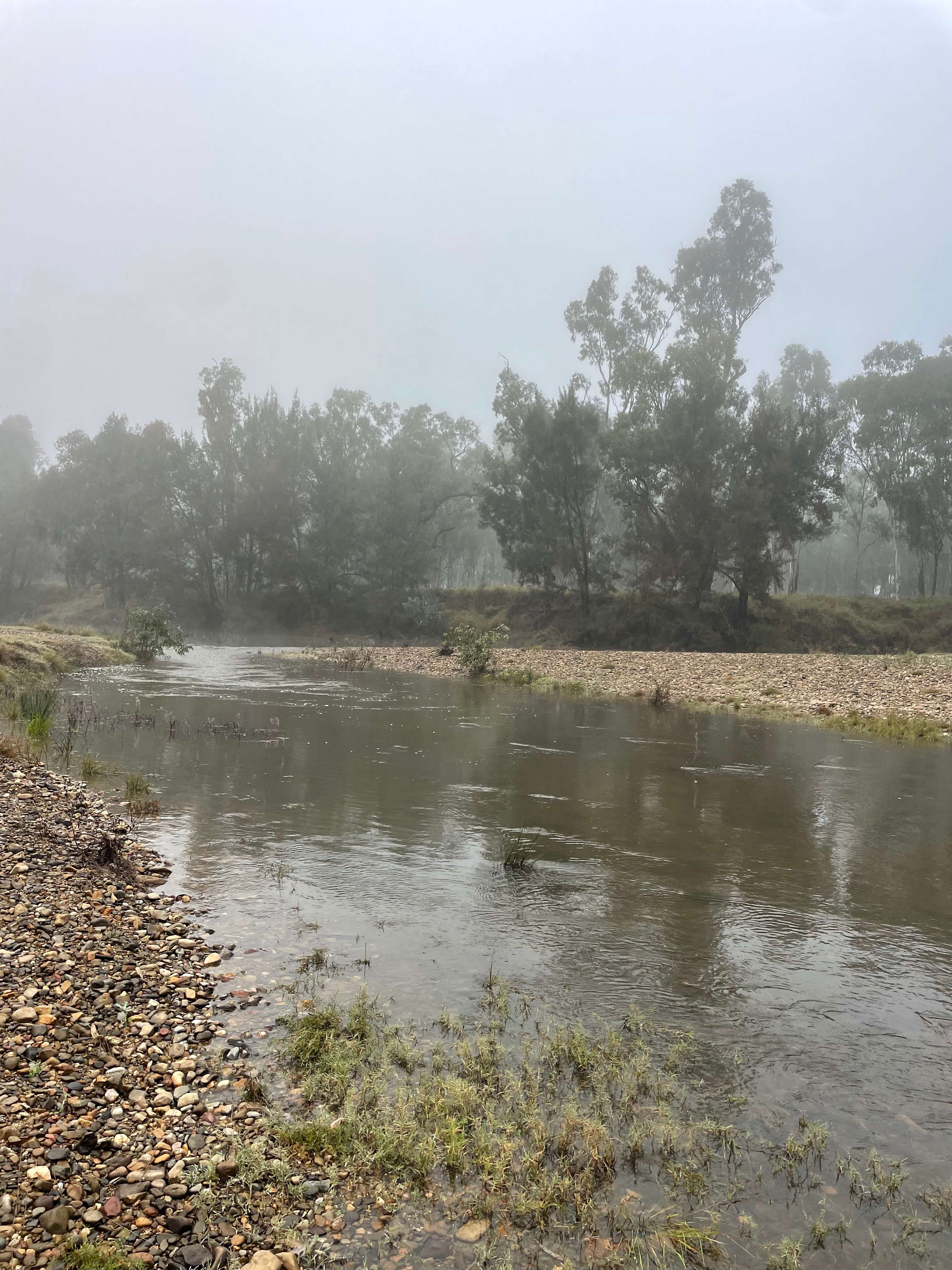 Bushland Hideaway on the River