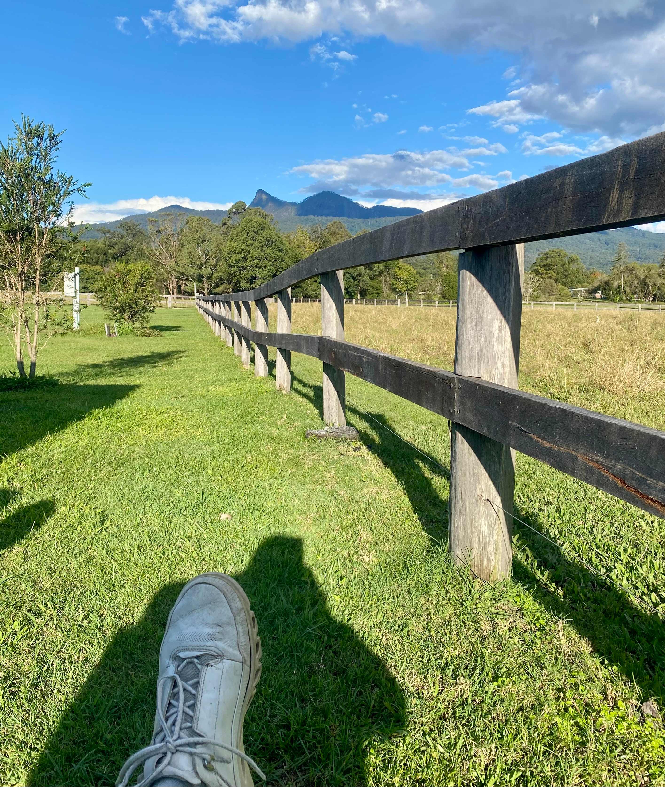 Tyalgum Showground