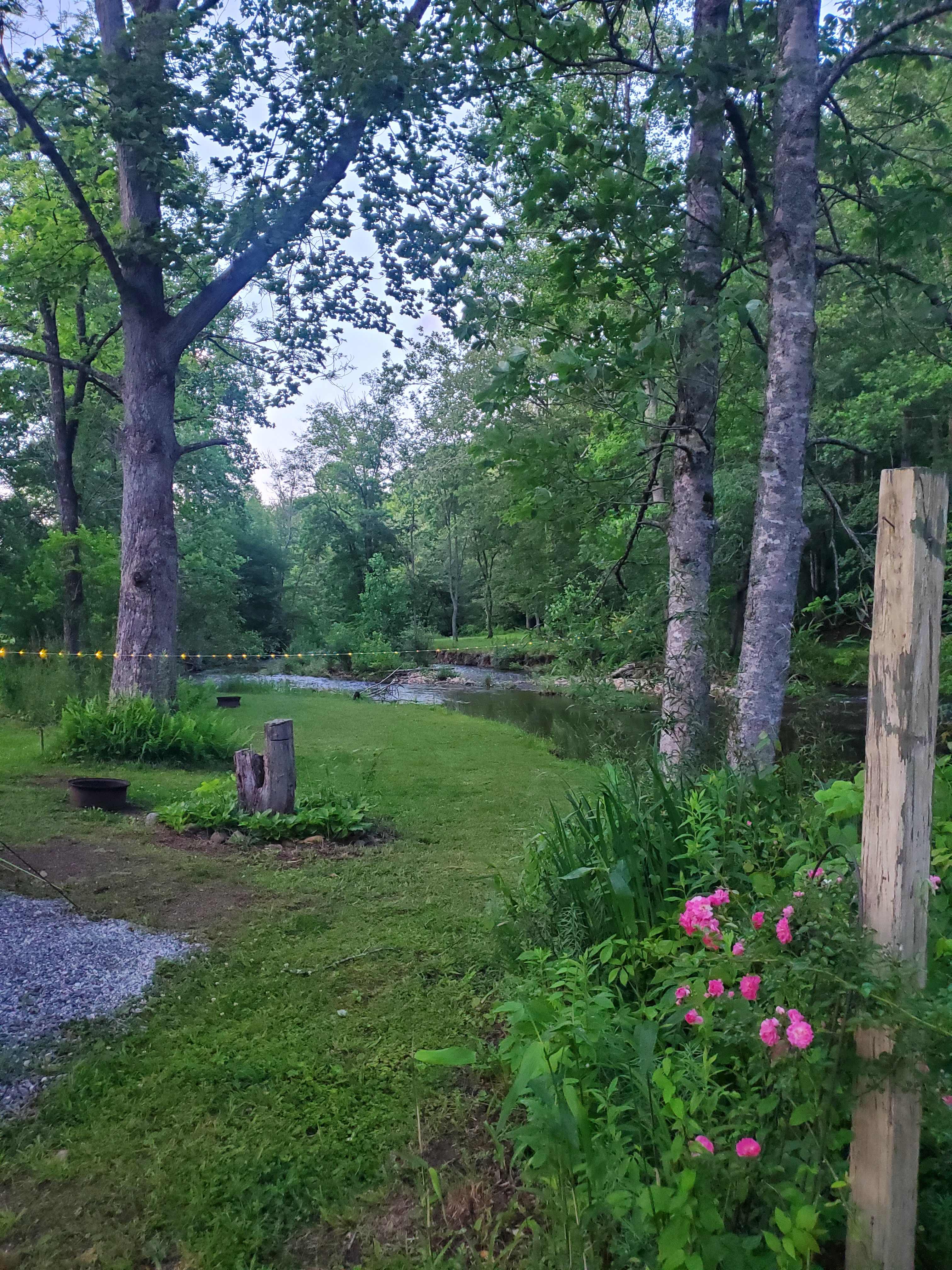 Coweeta Creek Campground