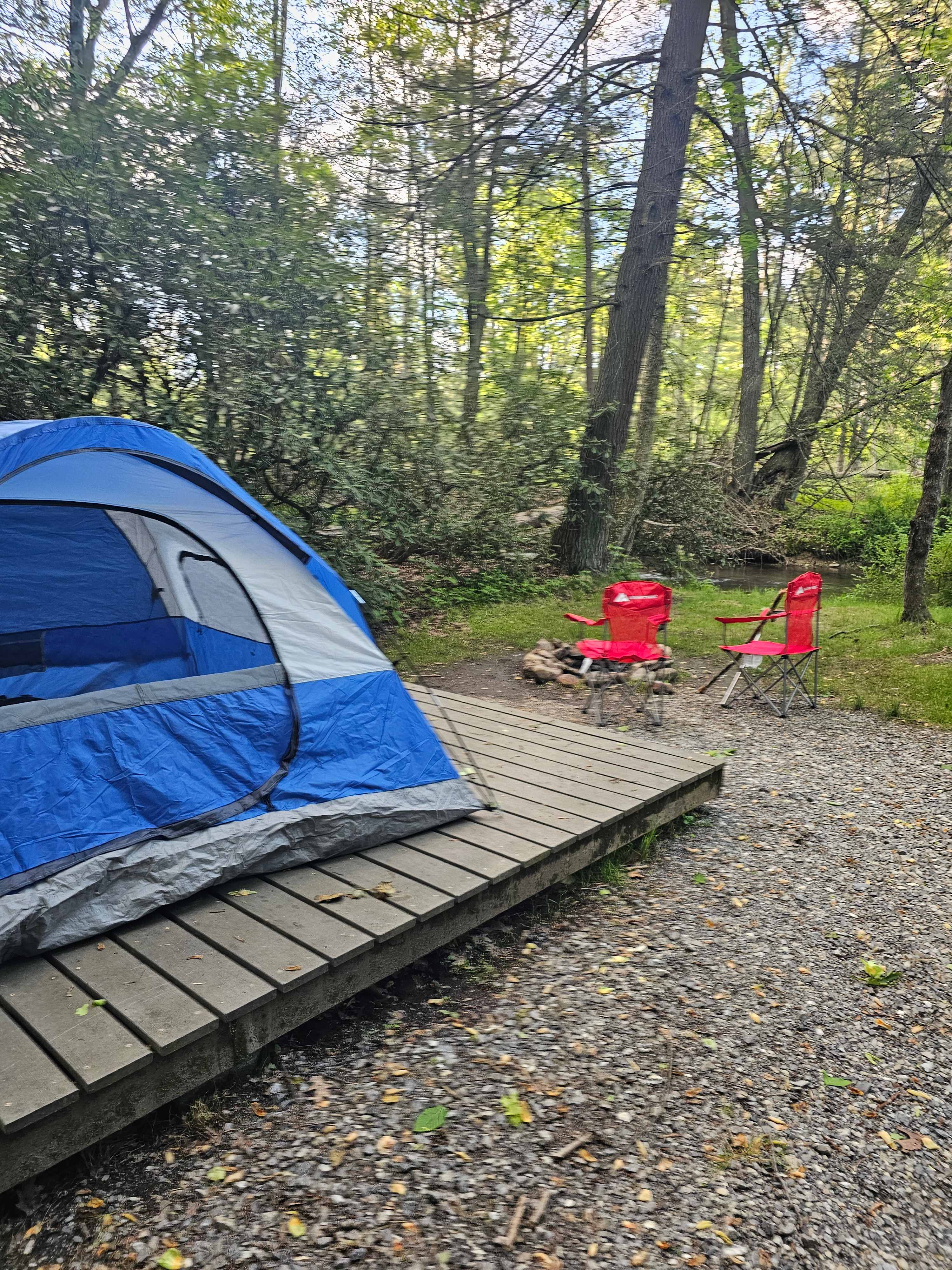 Bald Eagle Campsite