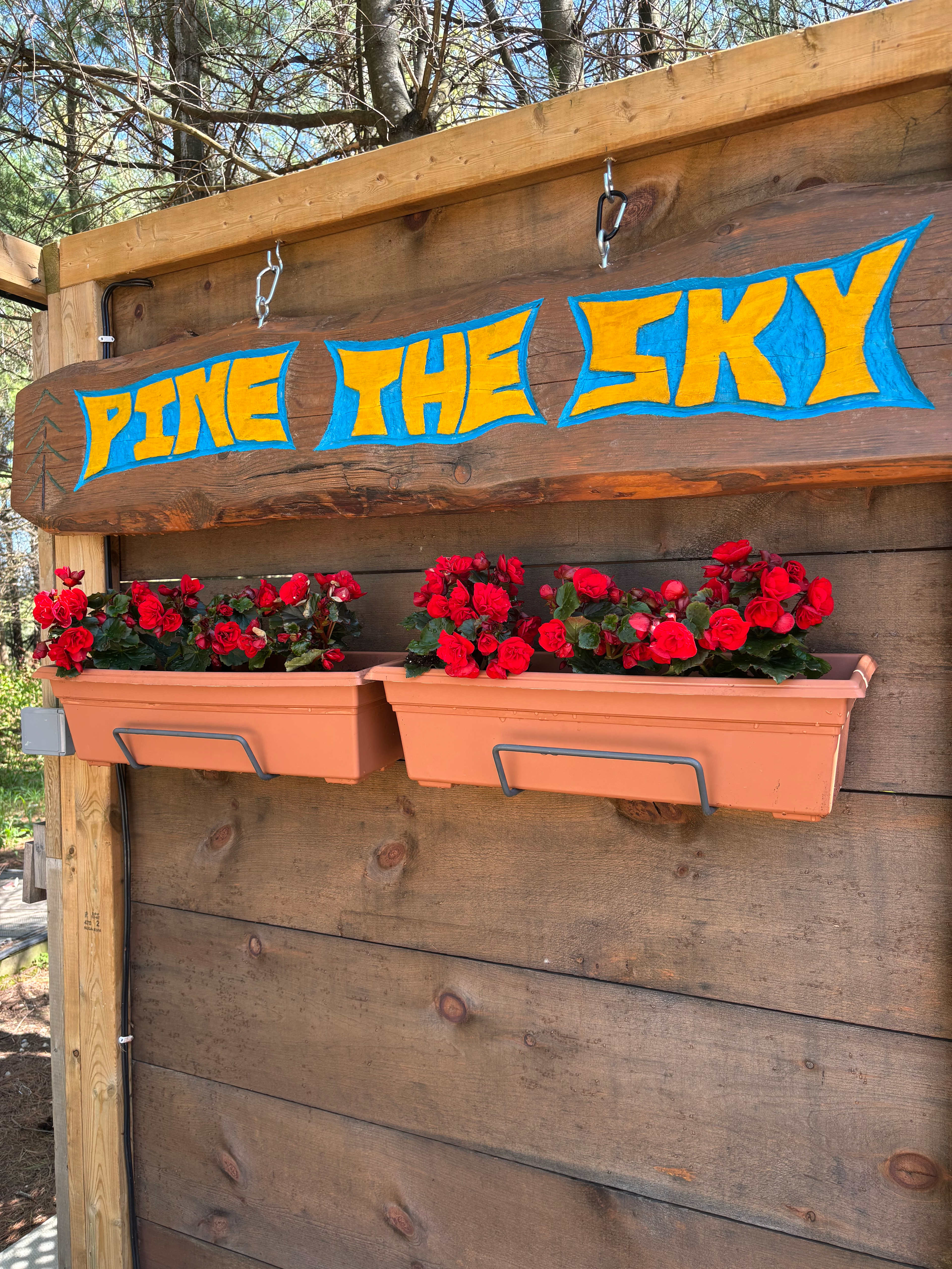 Pine the Sky