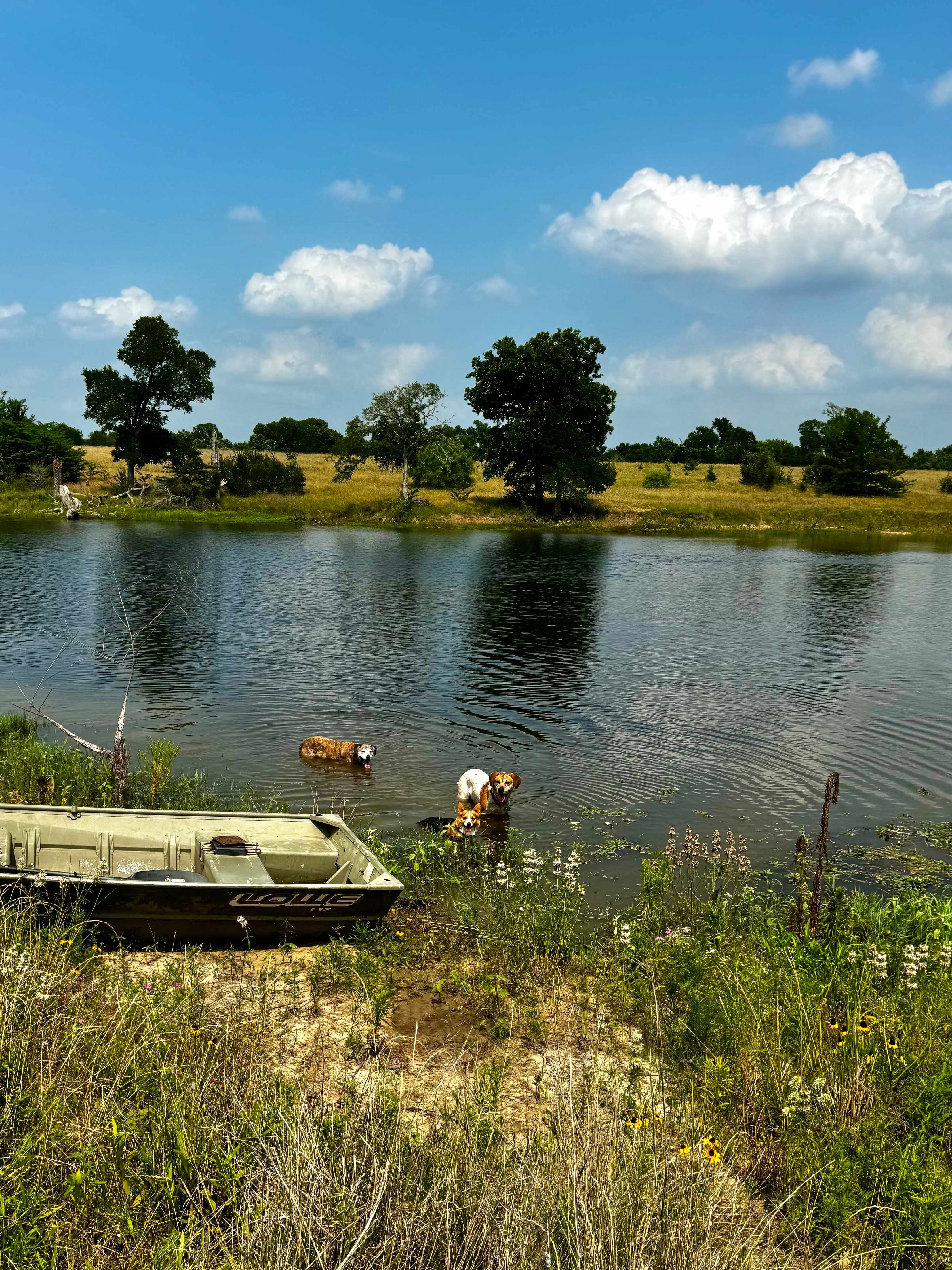 Pond to cool off and row boat!