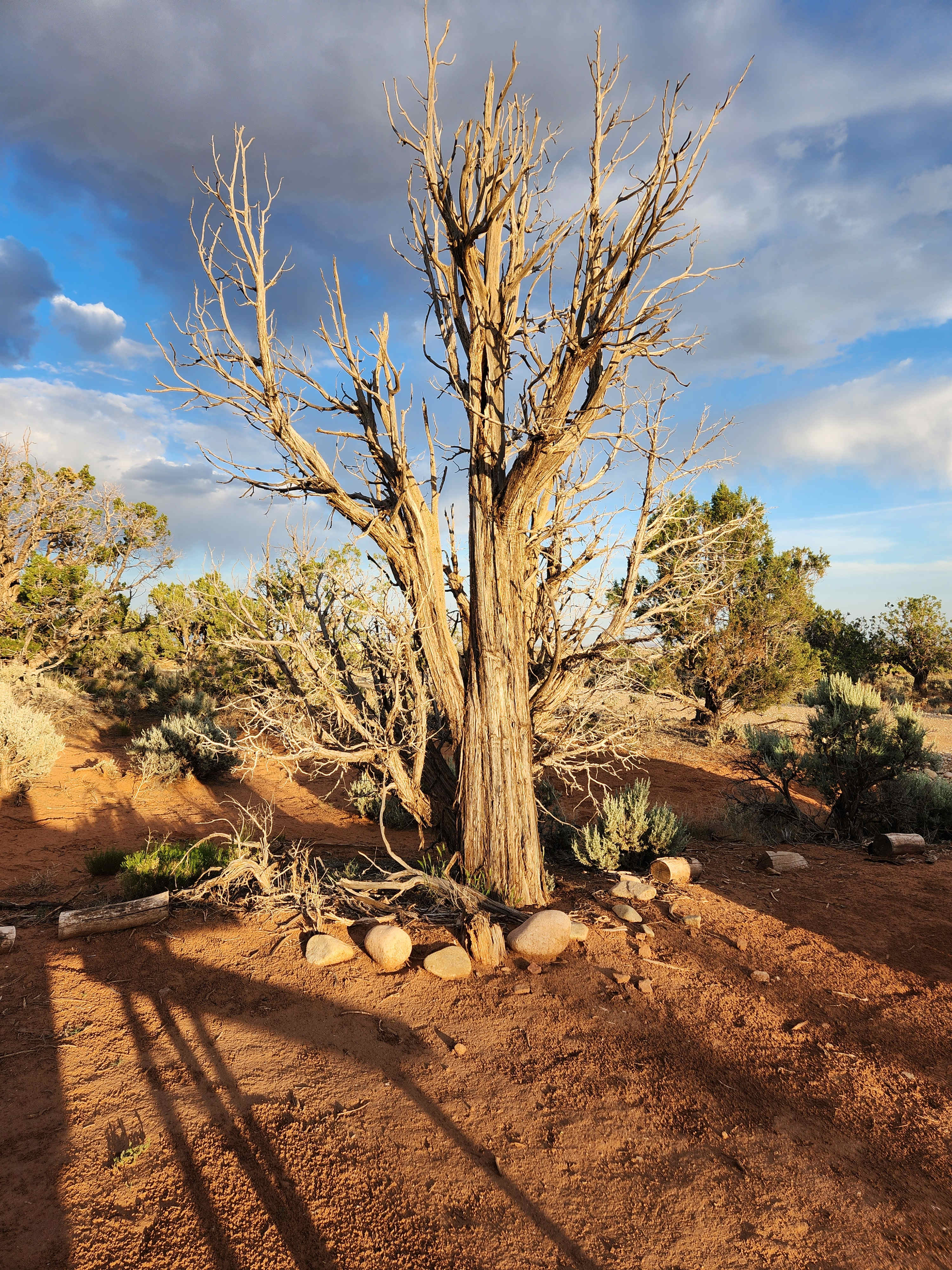 Sunset Campground on Ruin Road