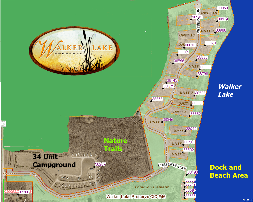 Walker Lake Preserve