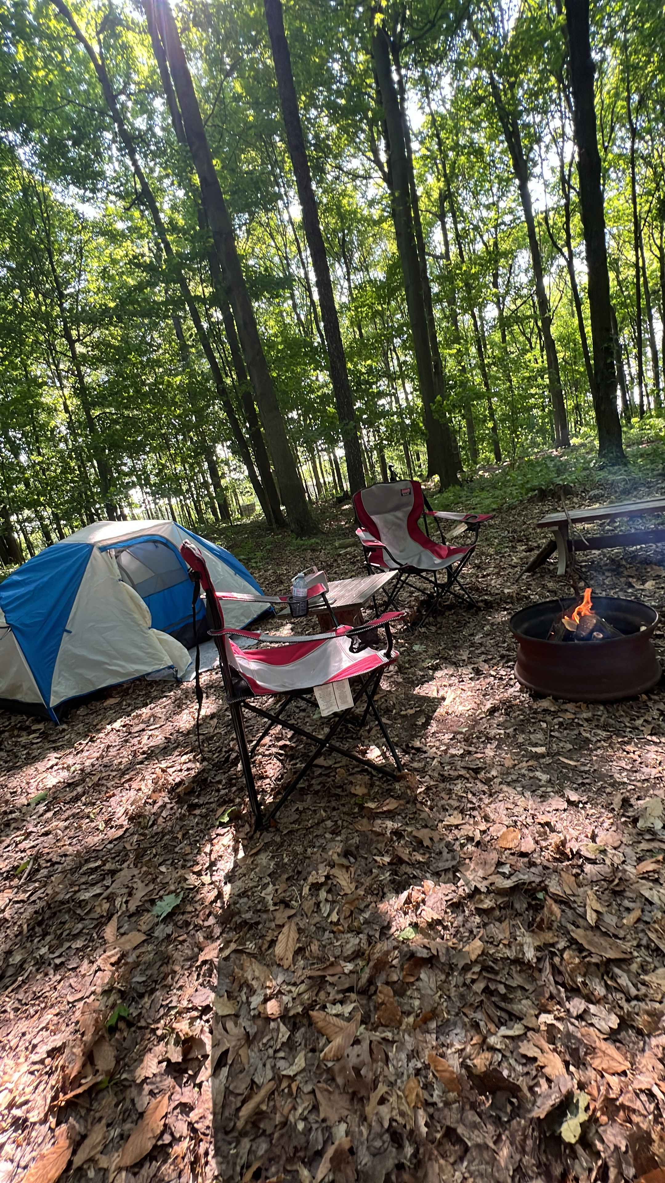 Spring Arbour Magic Forest &Trails!