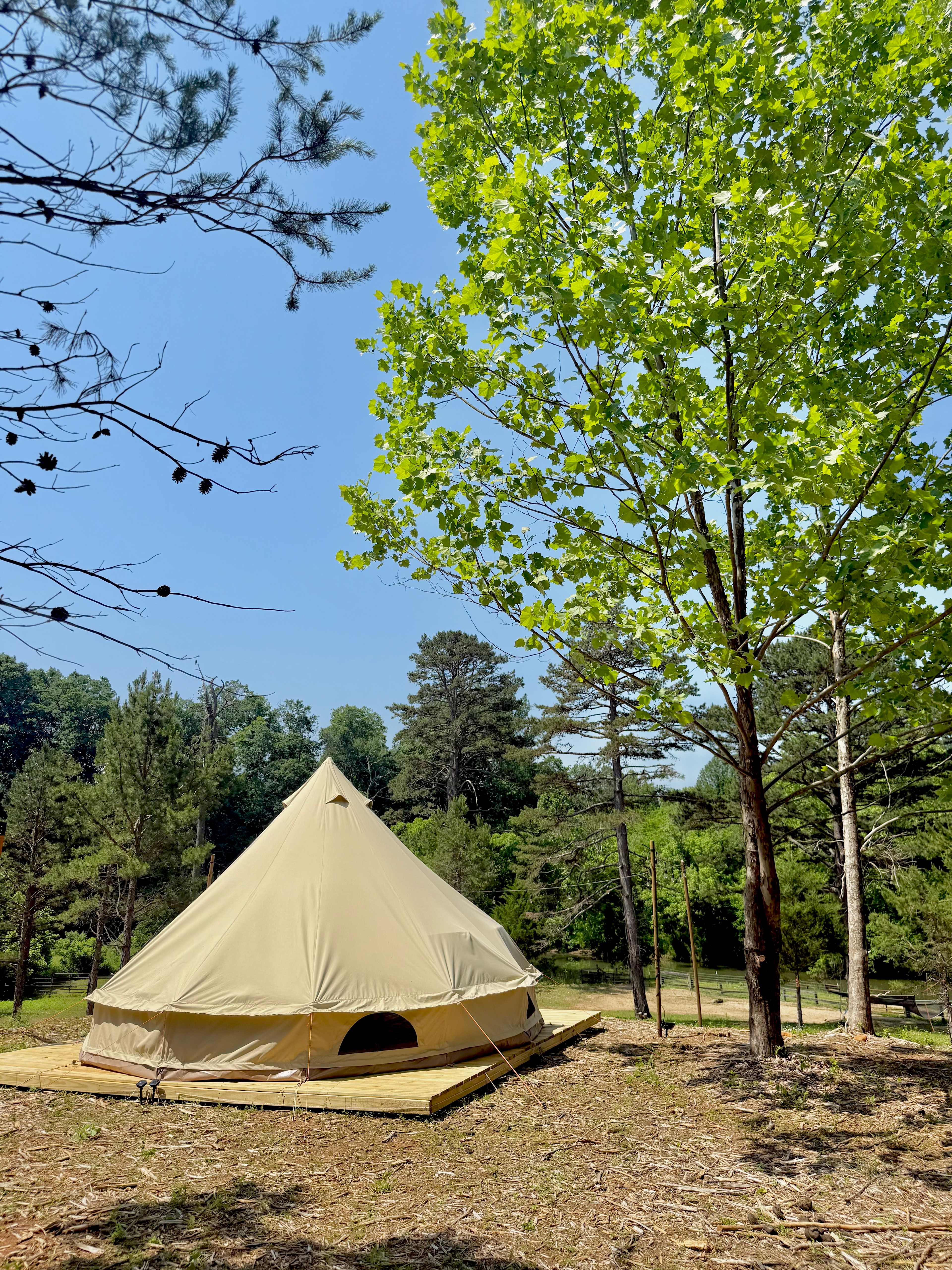 Riverside Camping with Donkeys
