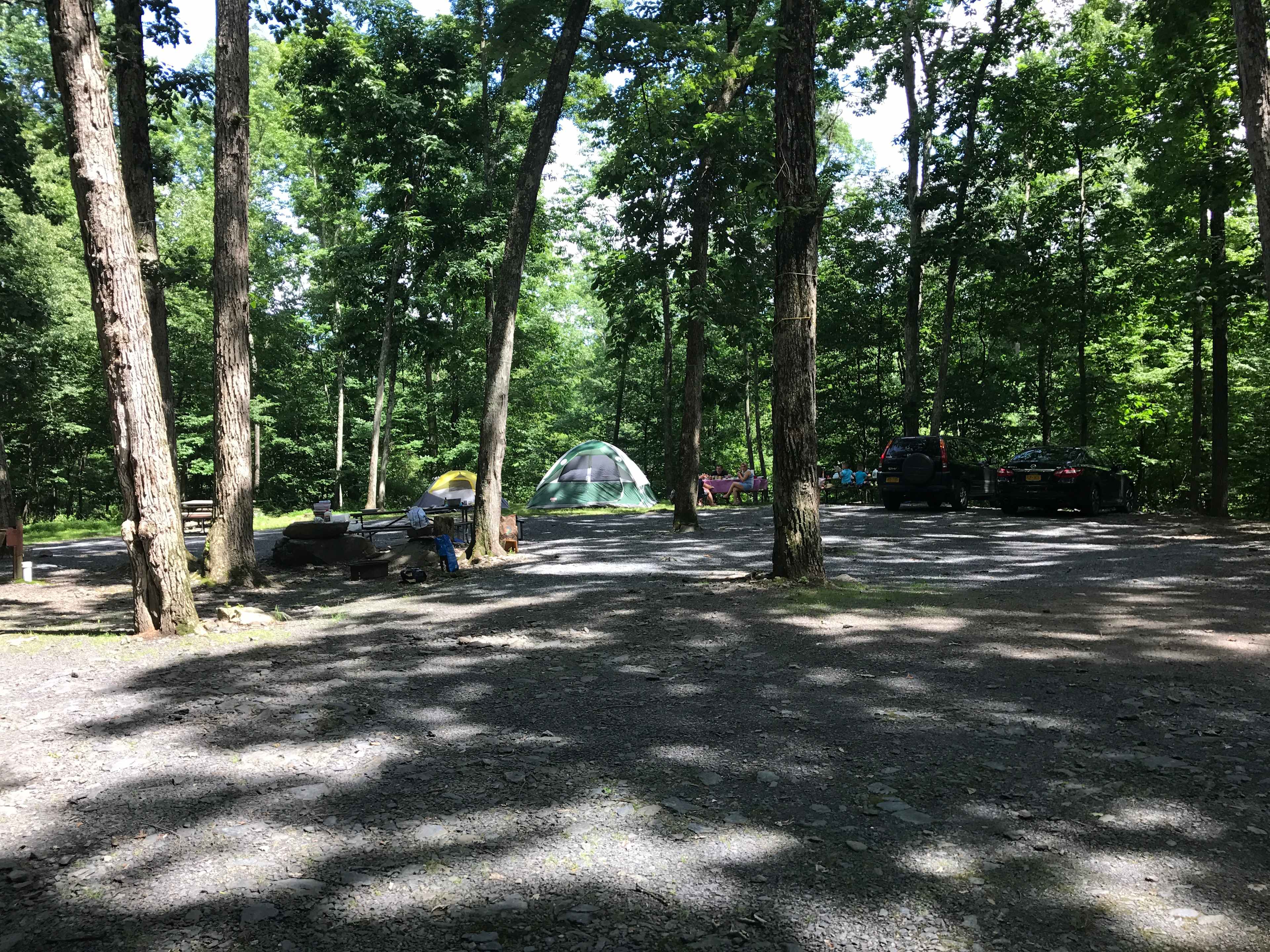 Cranberry Run Campground