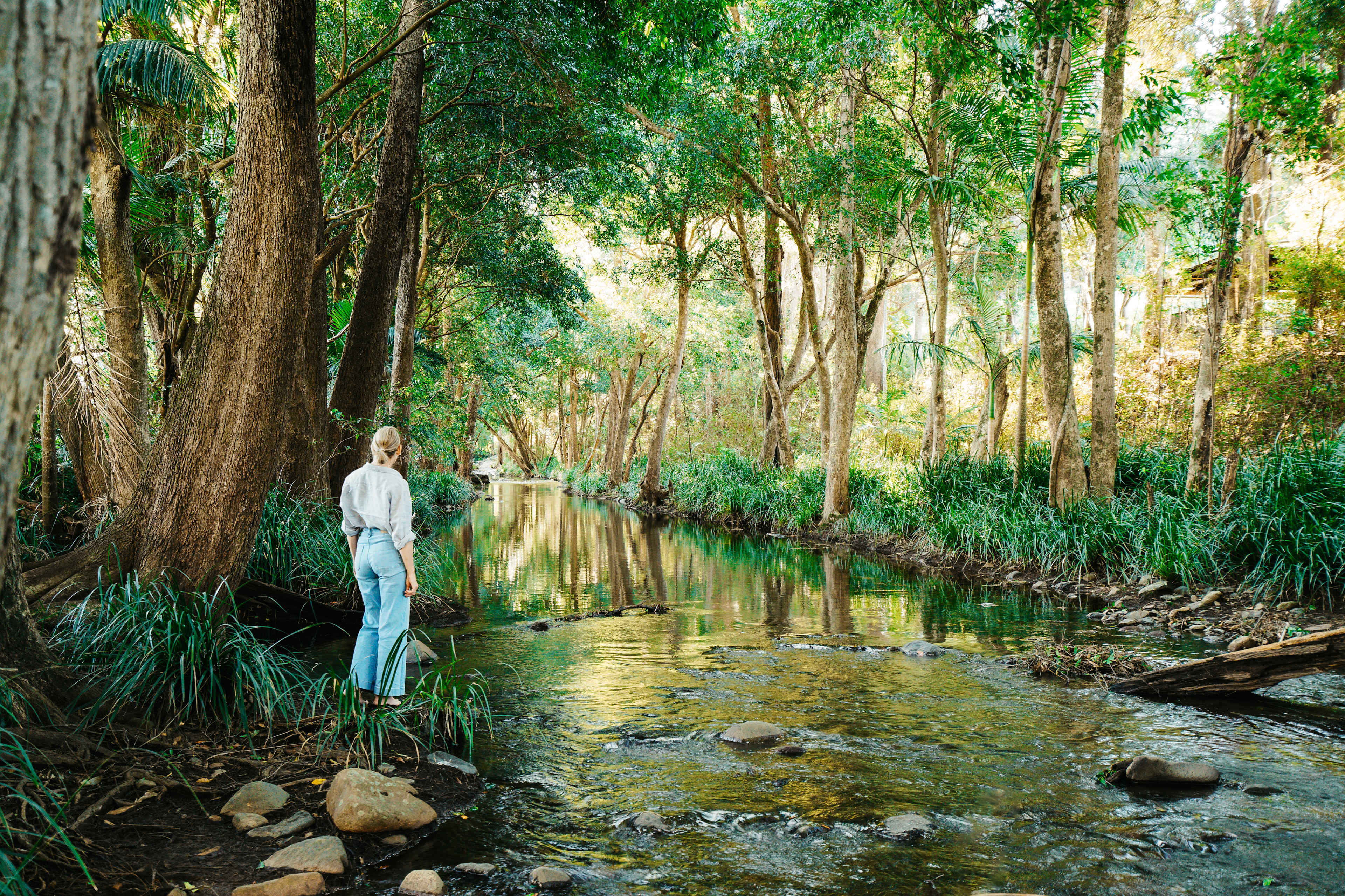 cedar creek in all its glory