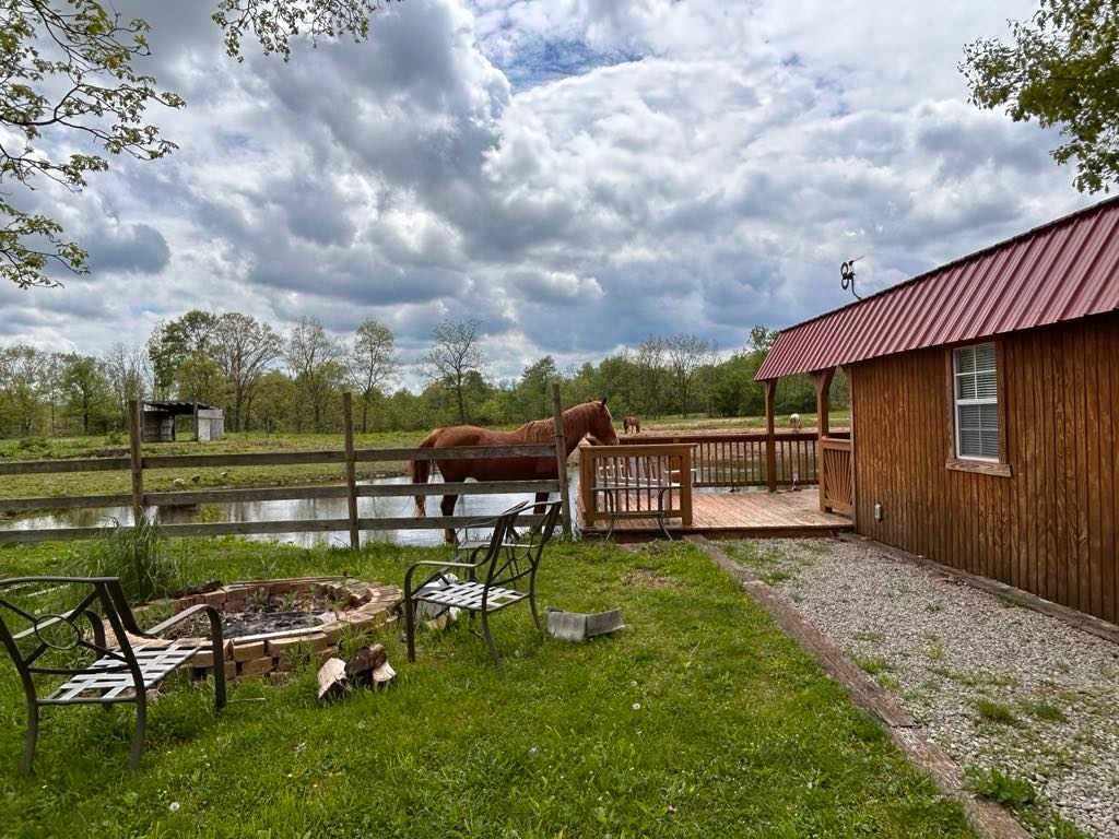 DLR Mustang Ranch