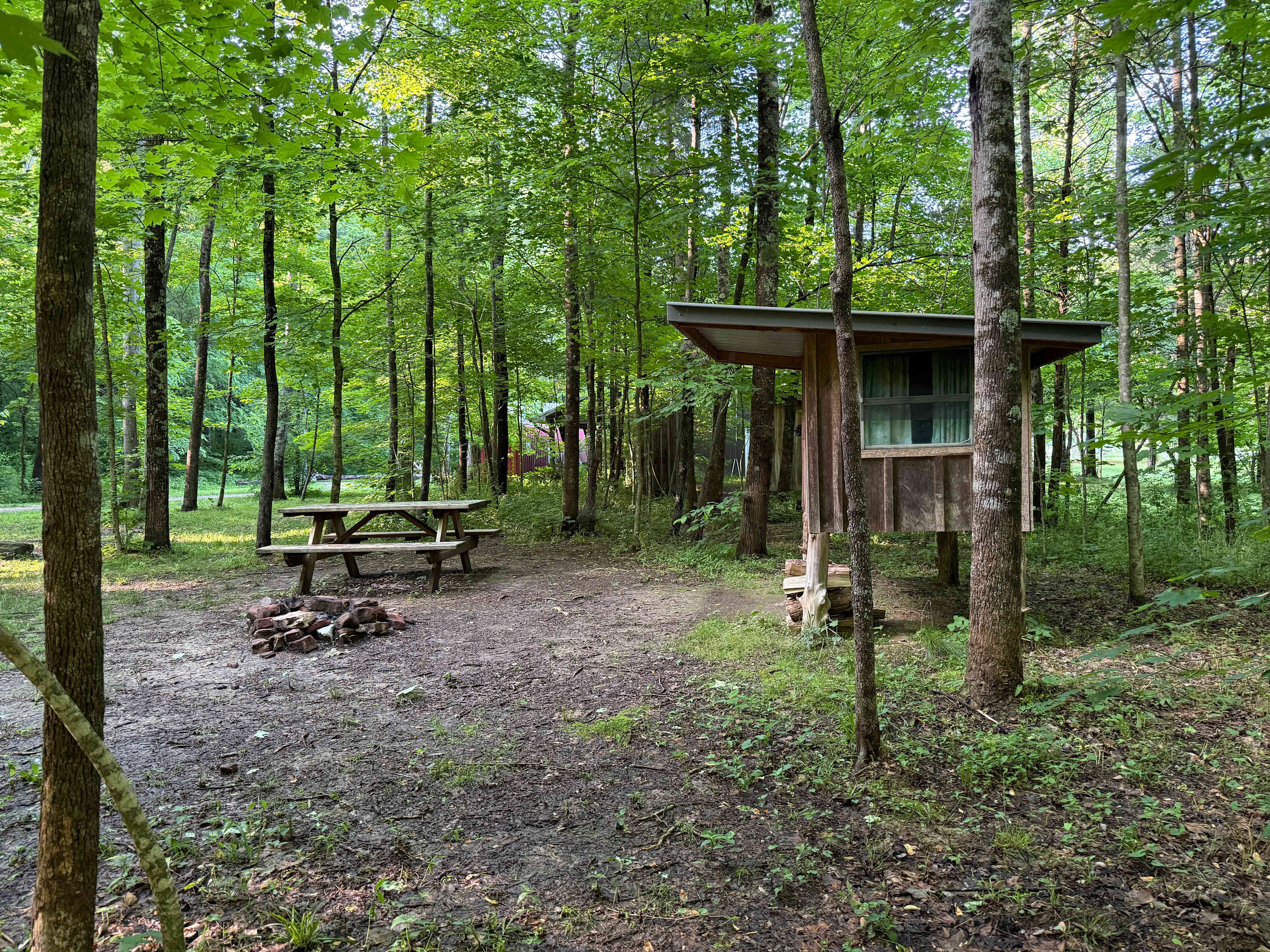 Campsite with an enclosure