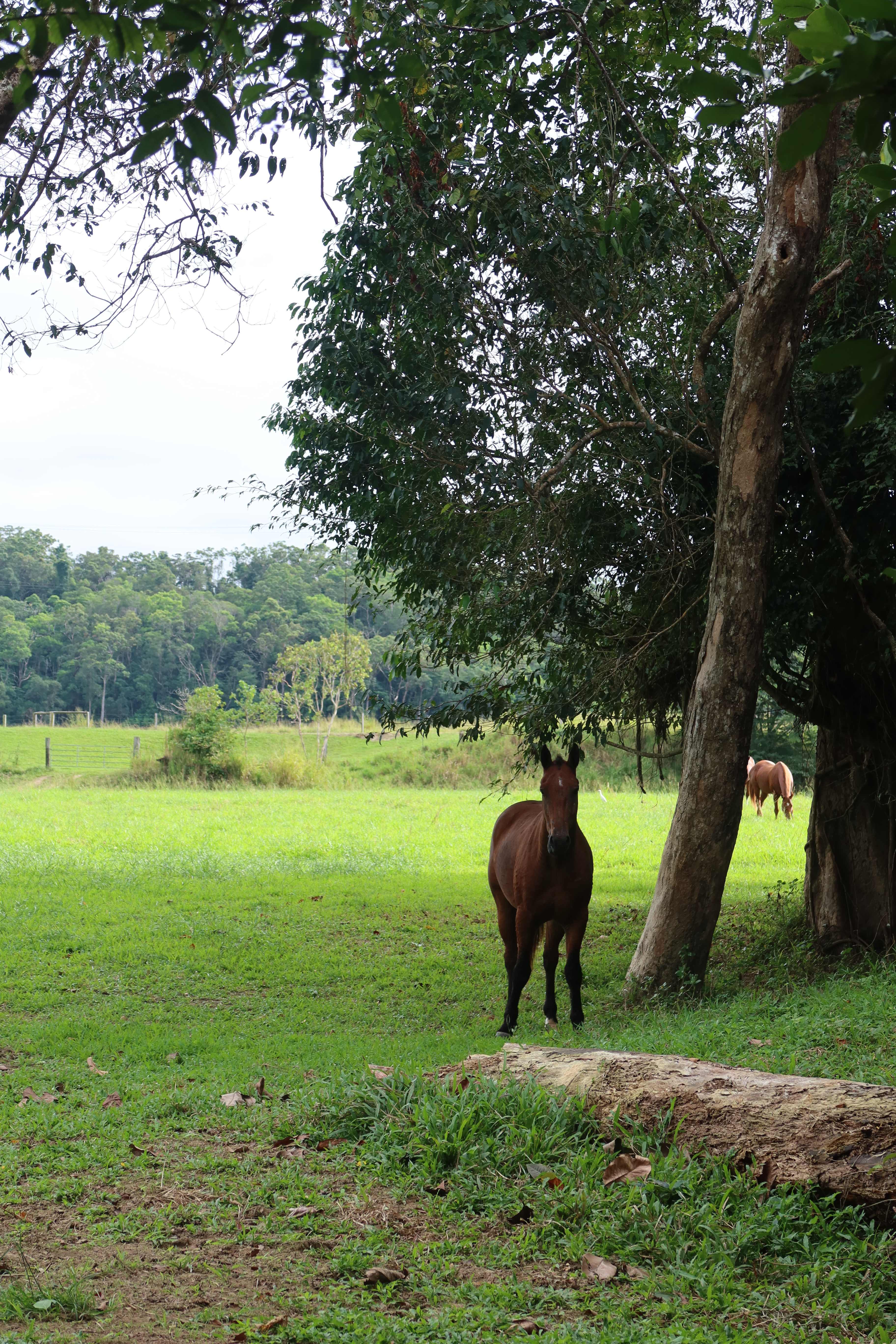 River Paddock Farm