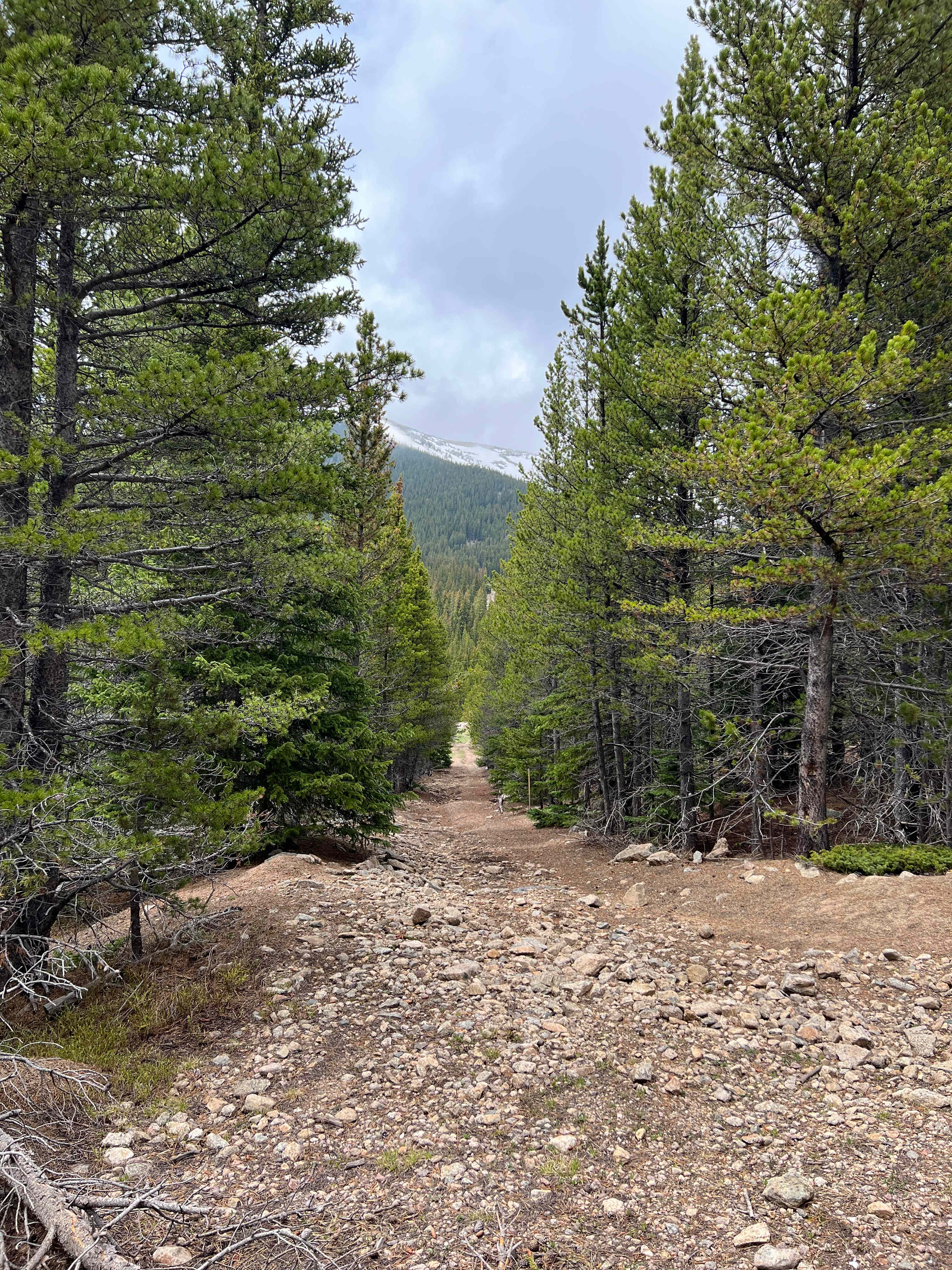 Glacier Getaway Bunkhouse and Lot