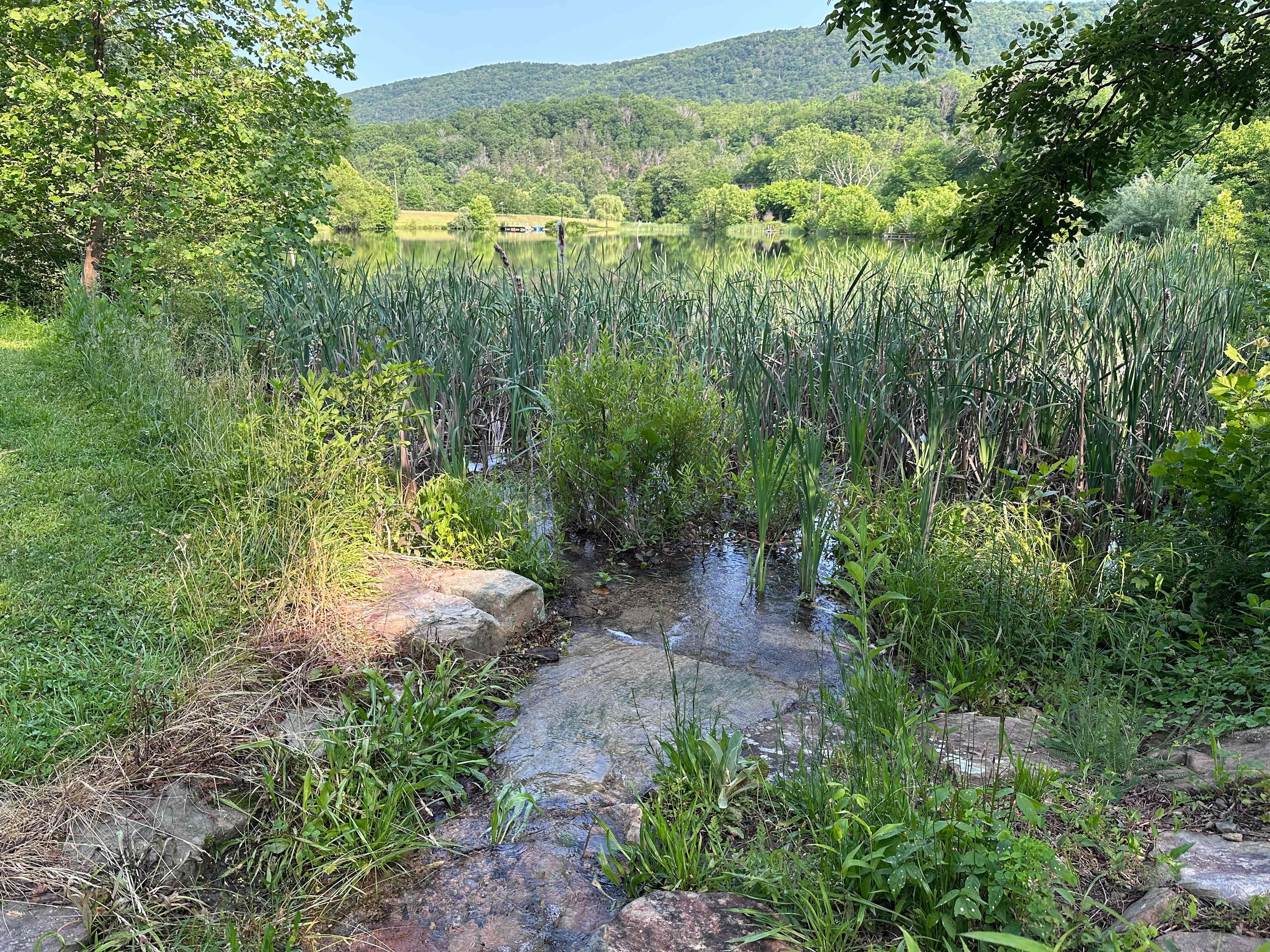 Pastimes on Passage Creek Ranch