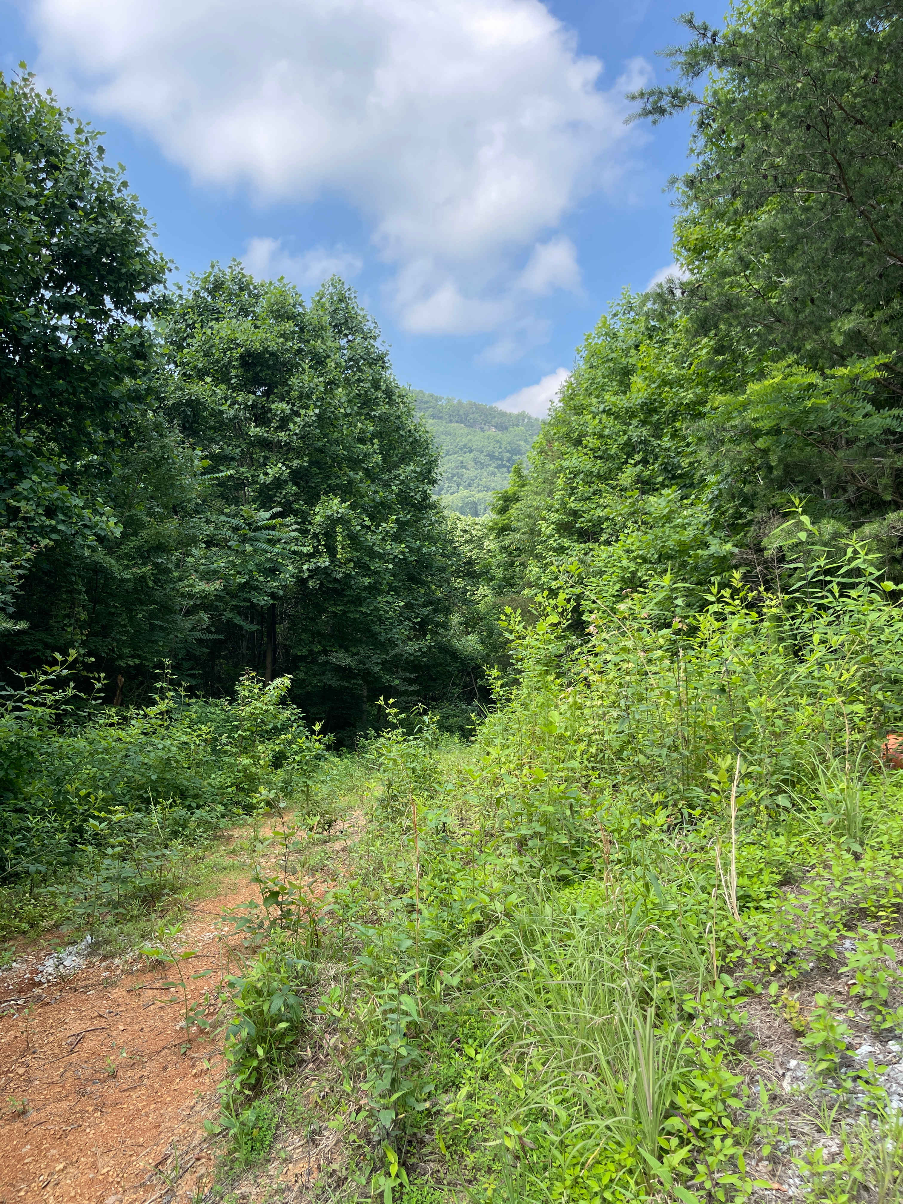 Peaceful Hollow Farm