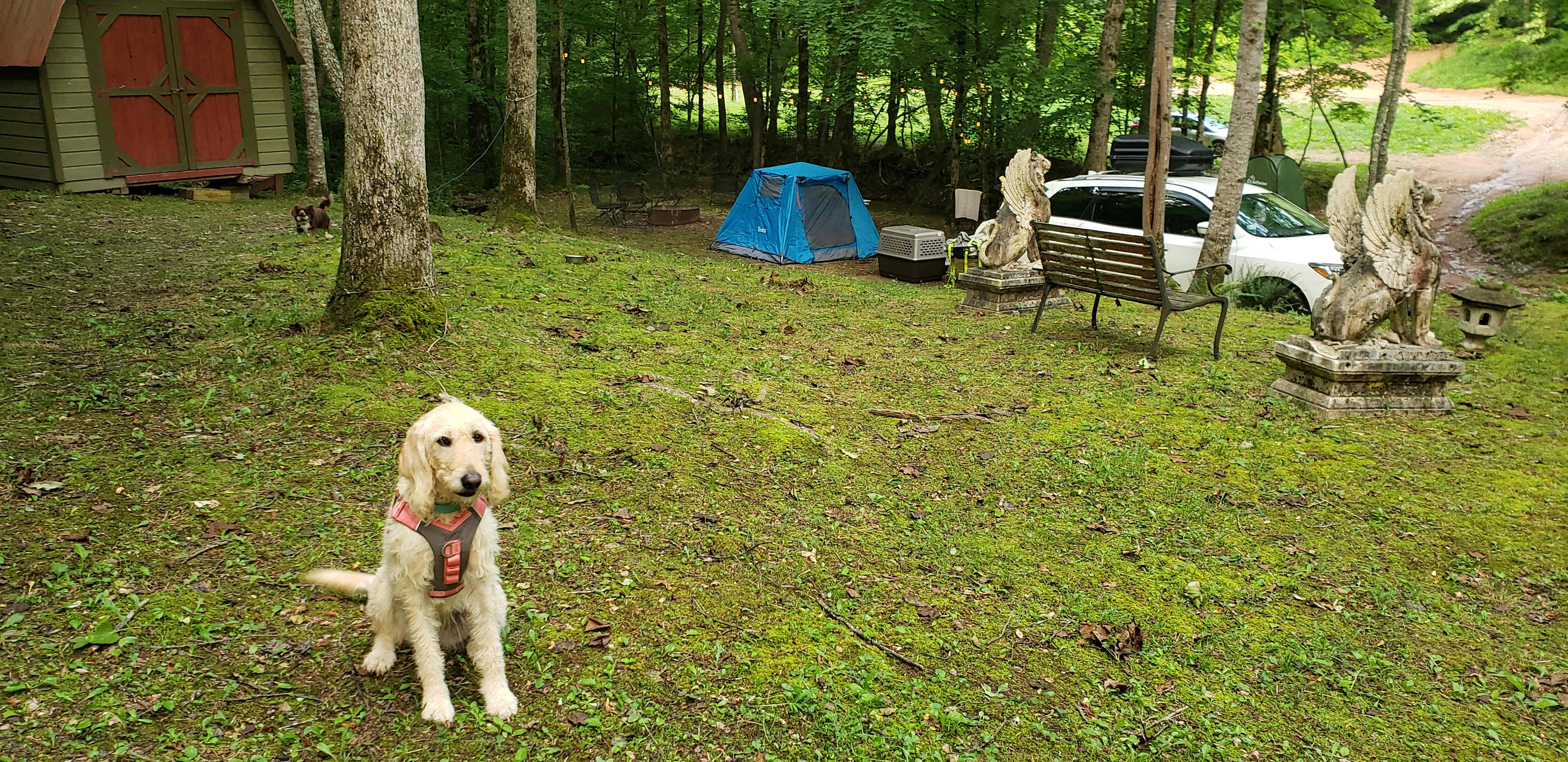 Lionsgate Campground
