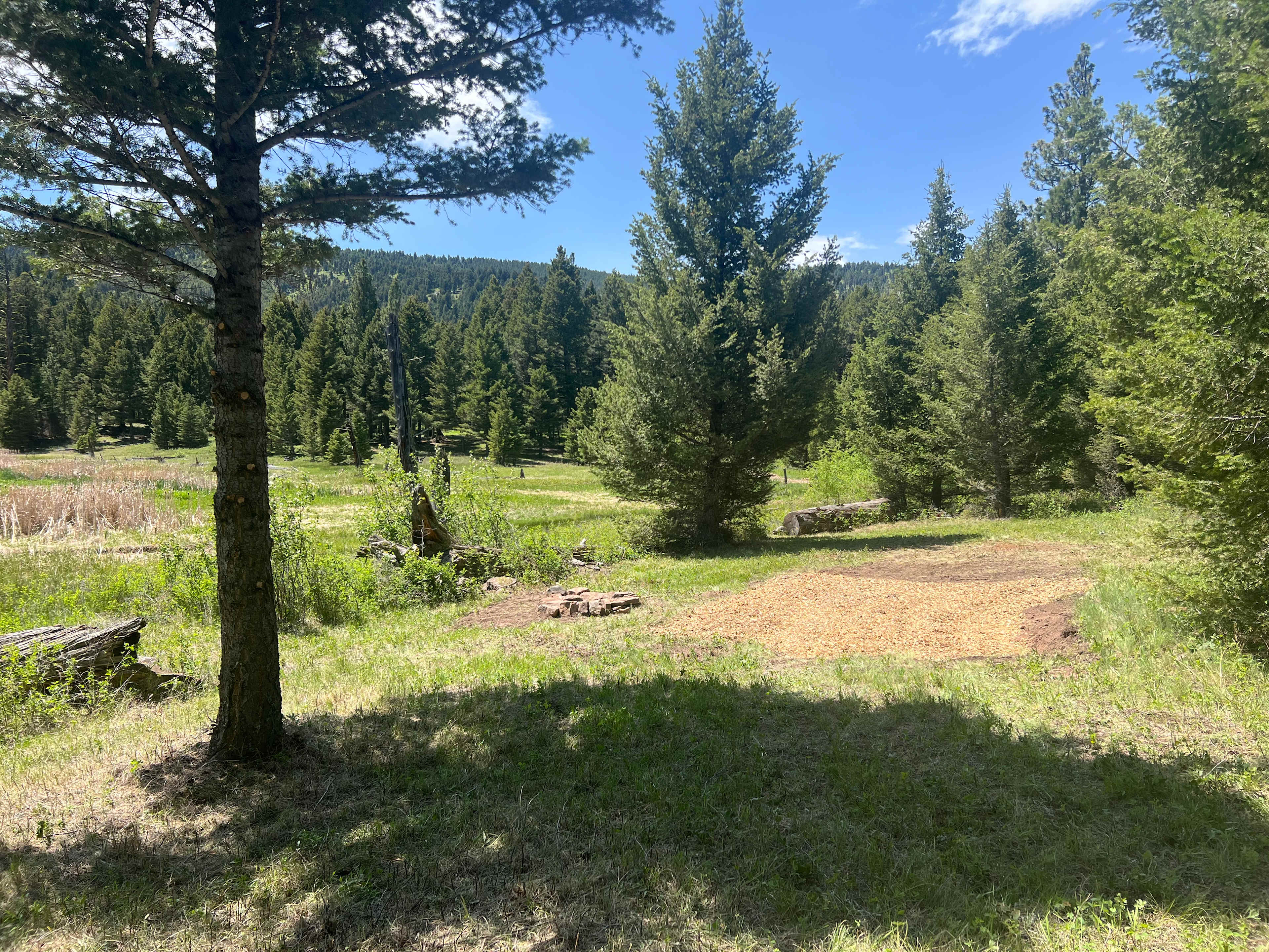 Mile High Mountain Homestead